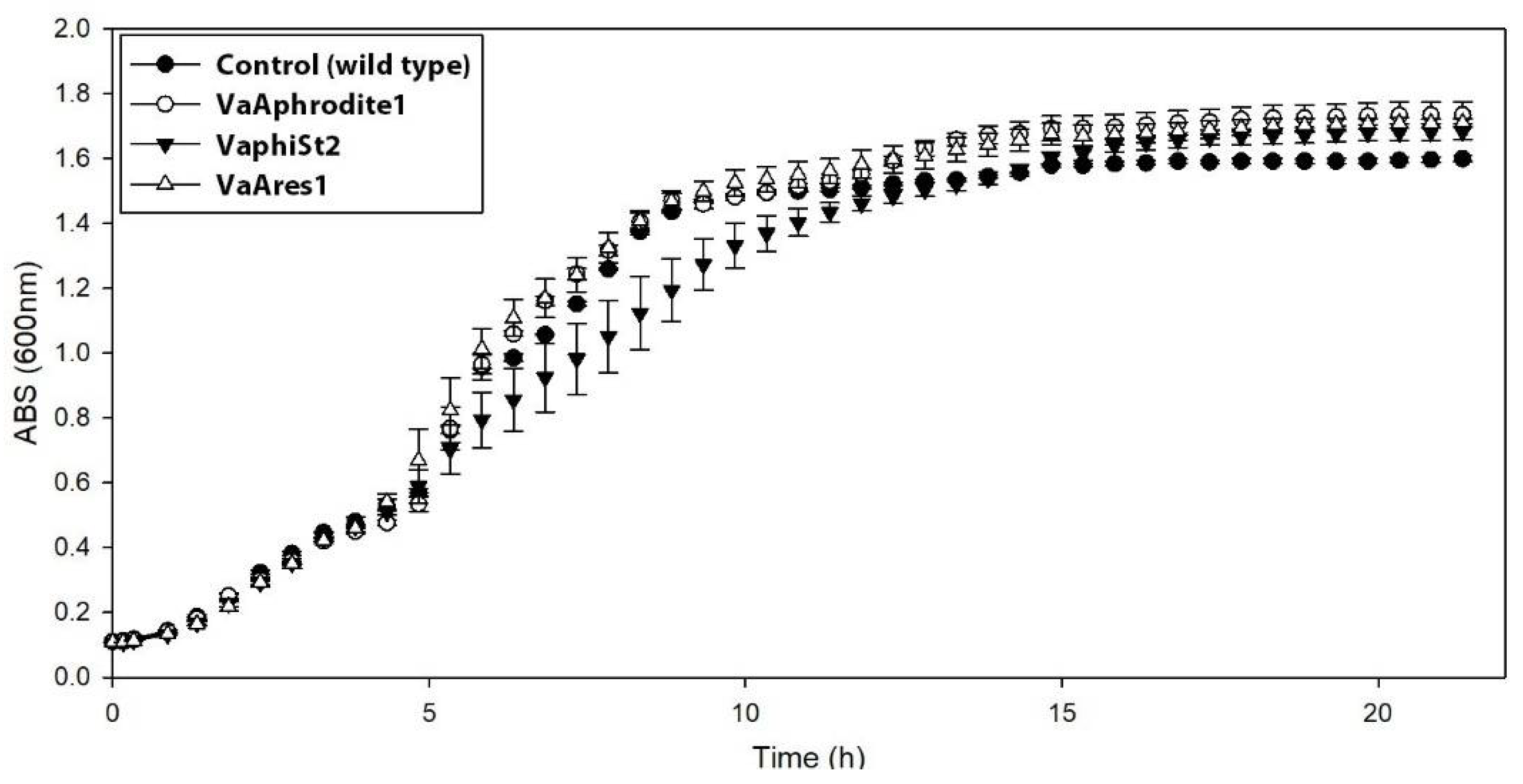 Viruses 13 00656 g001