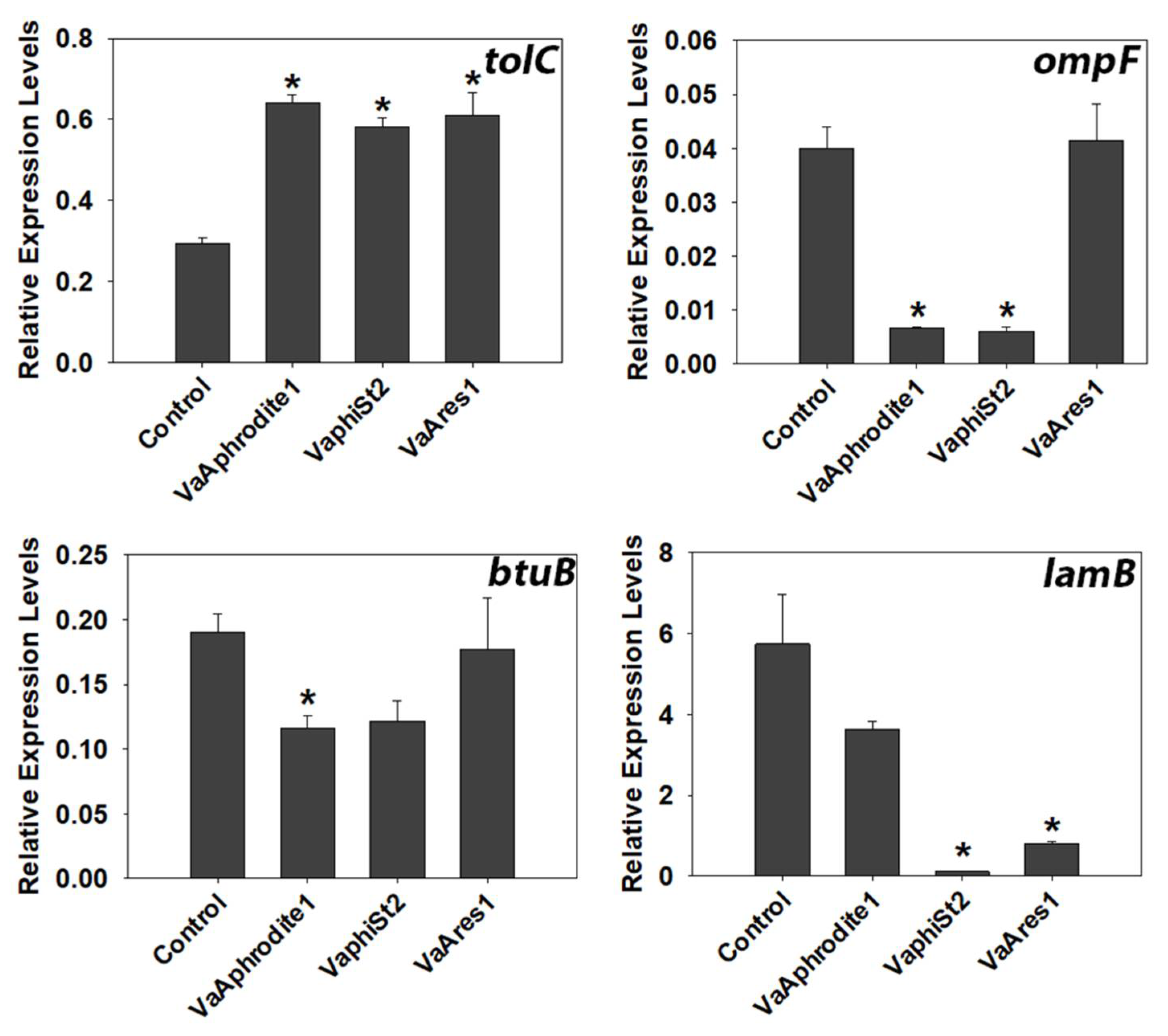Viruses 13 00656 g003