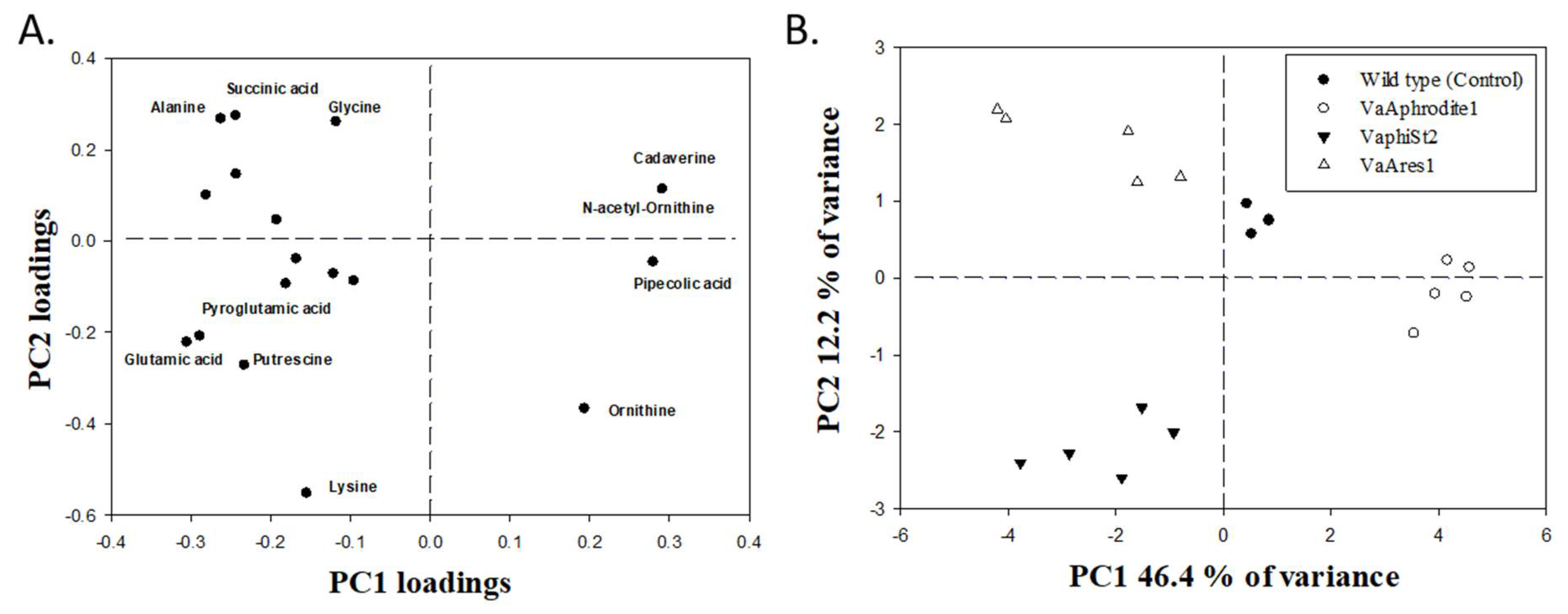 Viruses 13 00656 g004