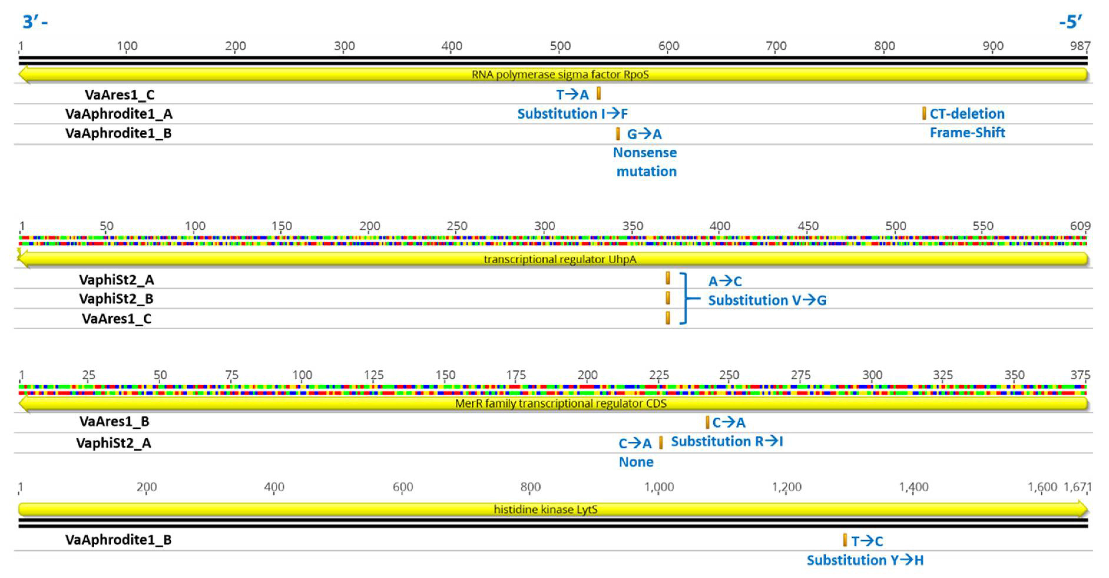 Viruses 13 00656 g005