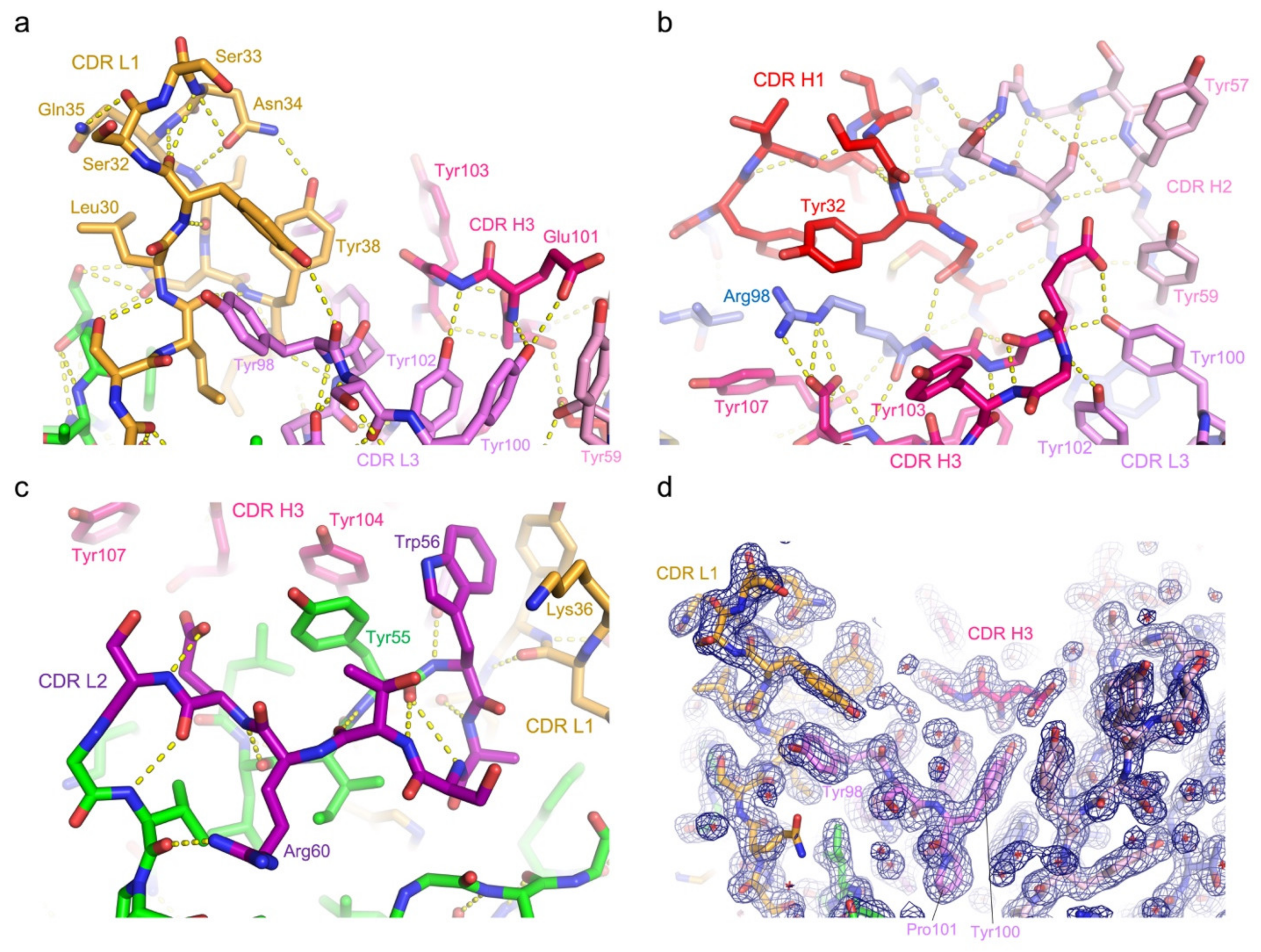 Viruses 13 00663 g004