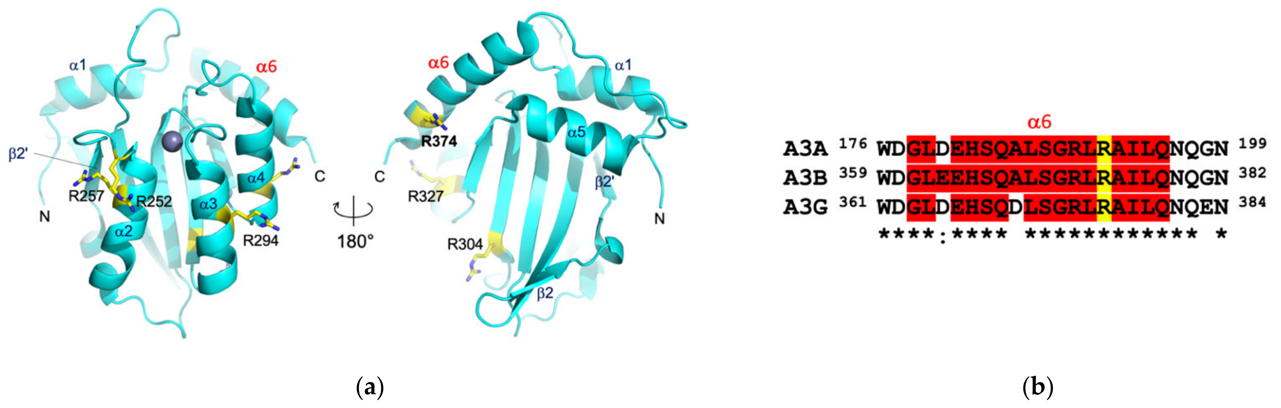 Viruses 13 00663 g005