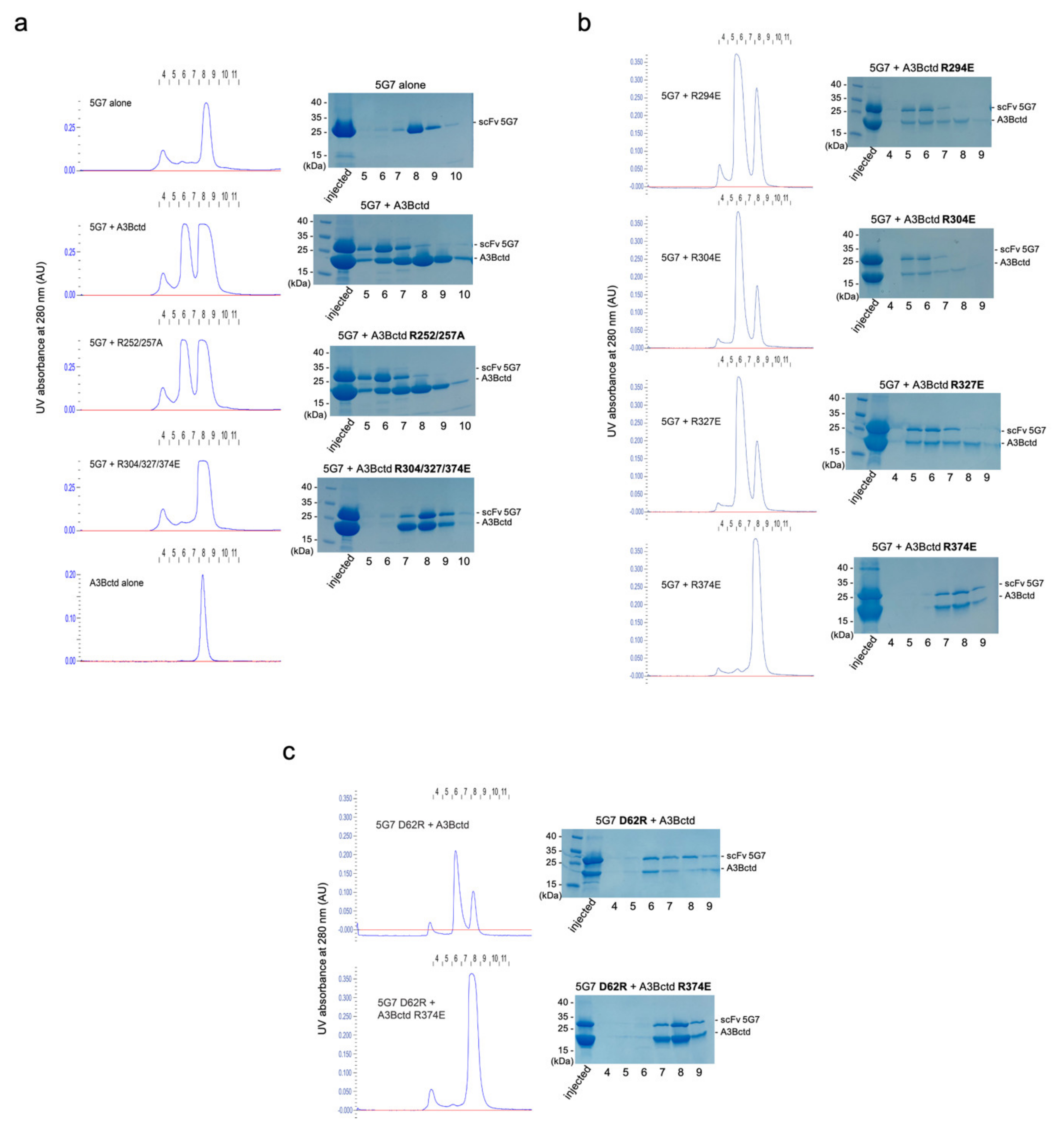 Viruses 13 00663 g006