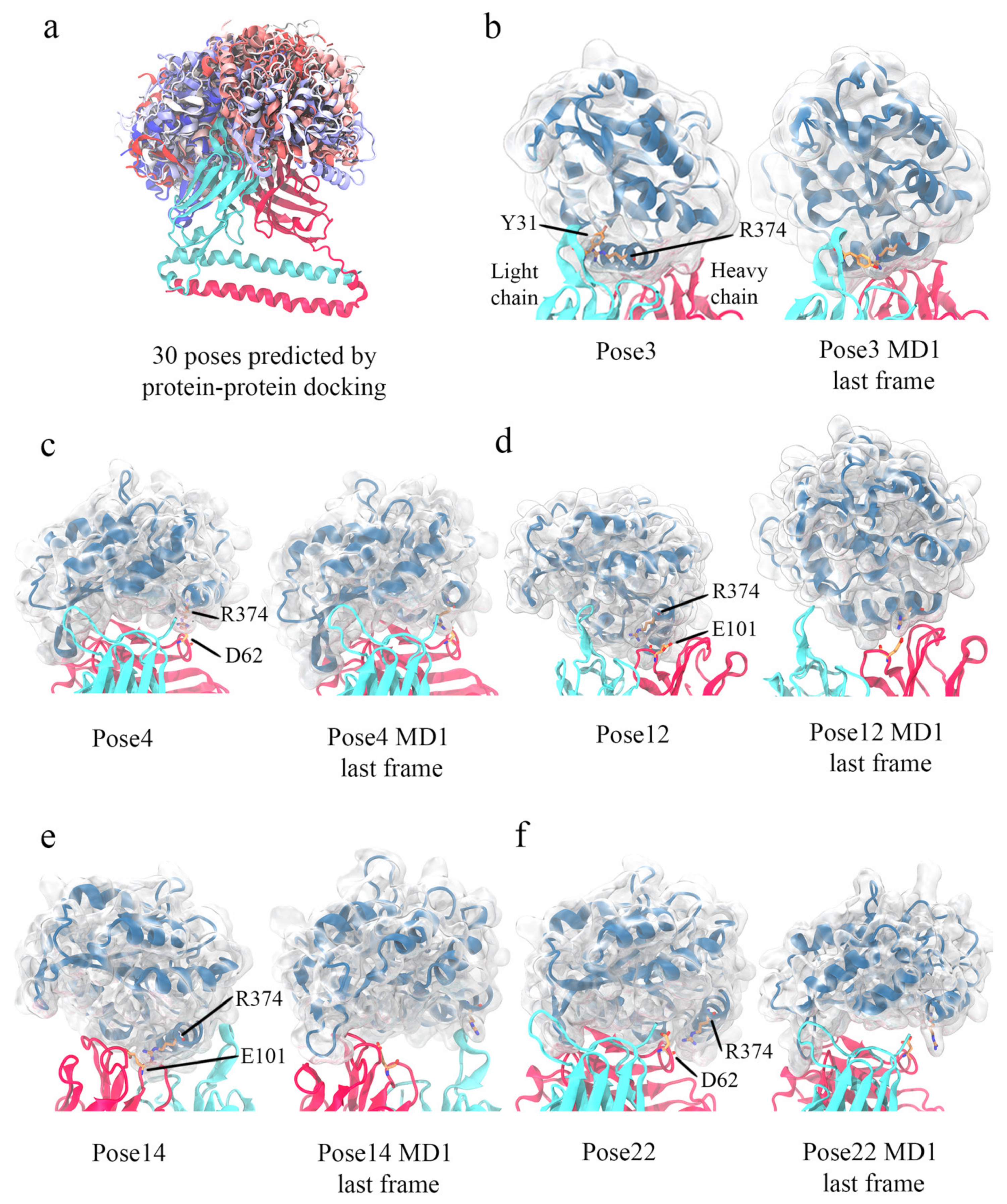 Viruses 13 00663 g007