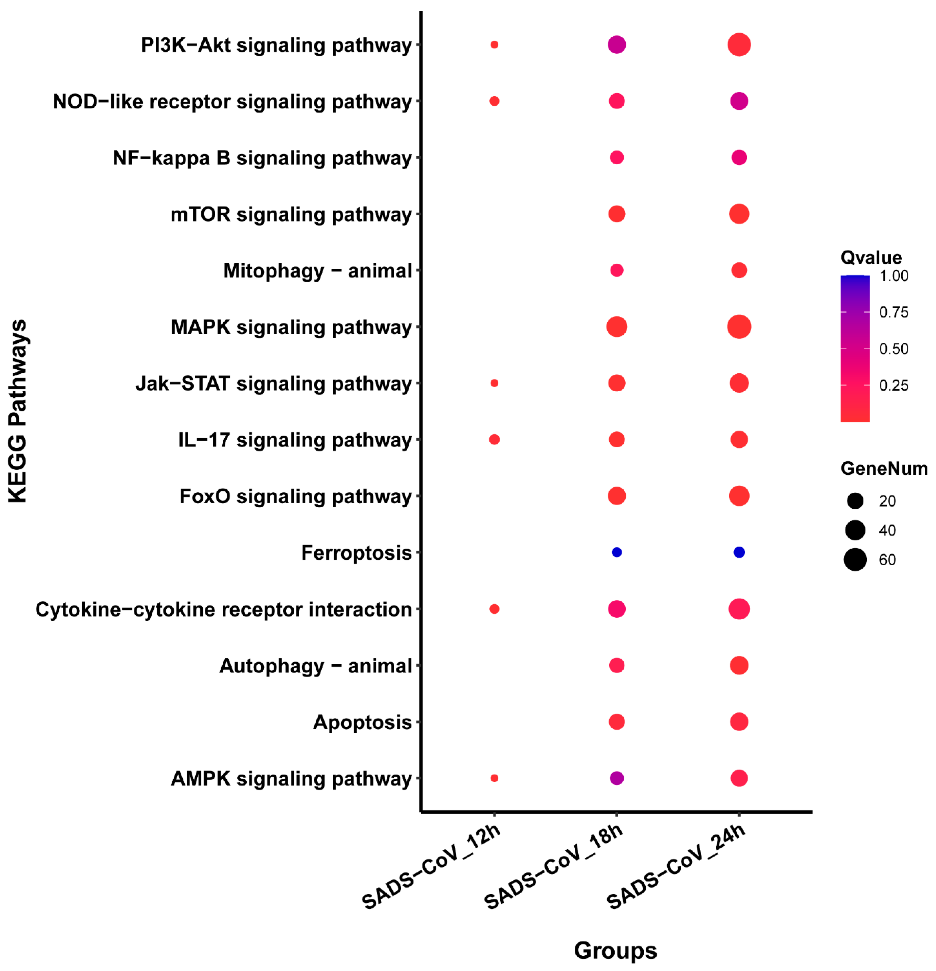 Viruses 13 00674 g005
