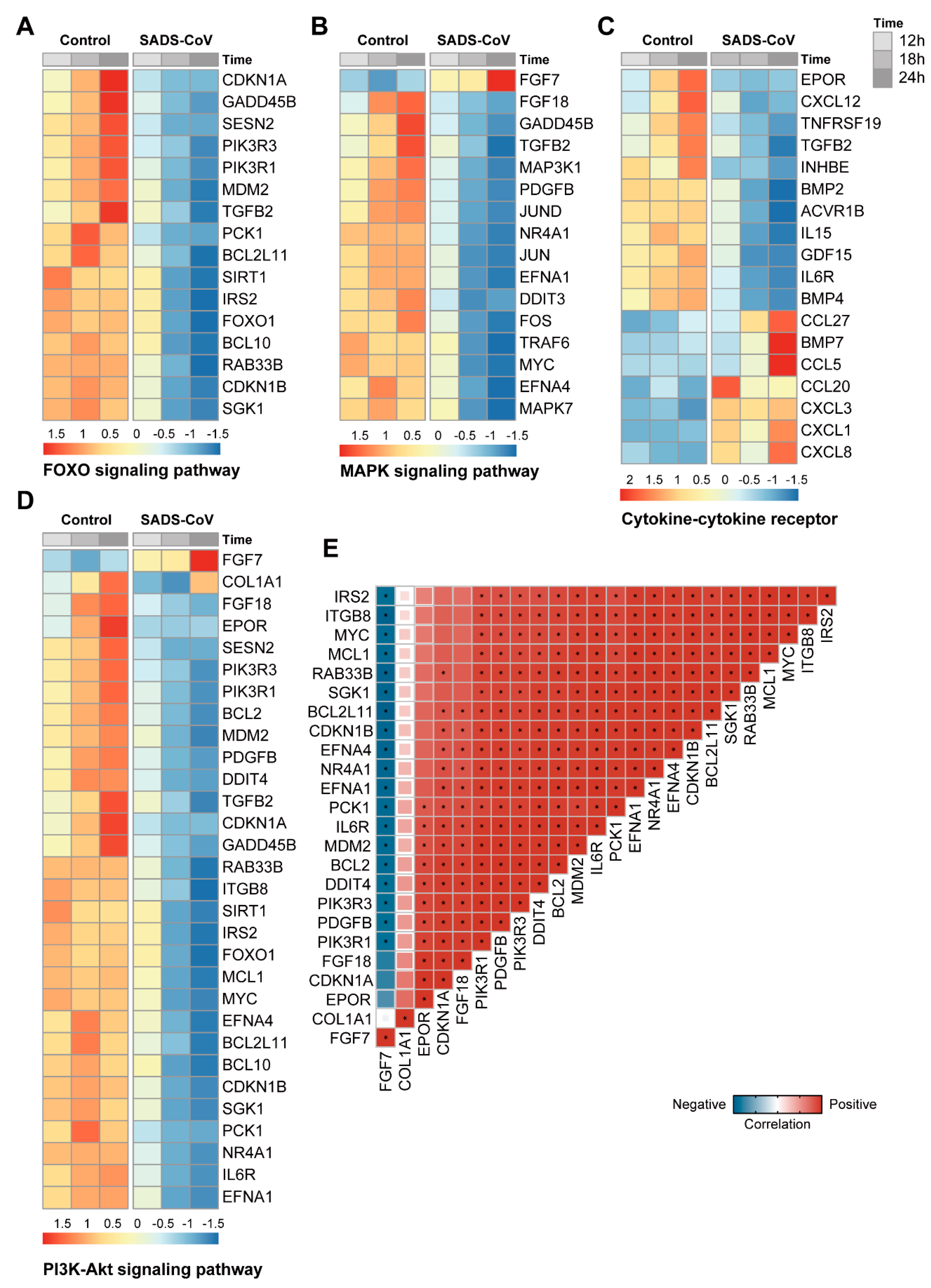 Viruses 13 00674 g006
