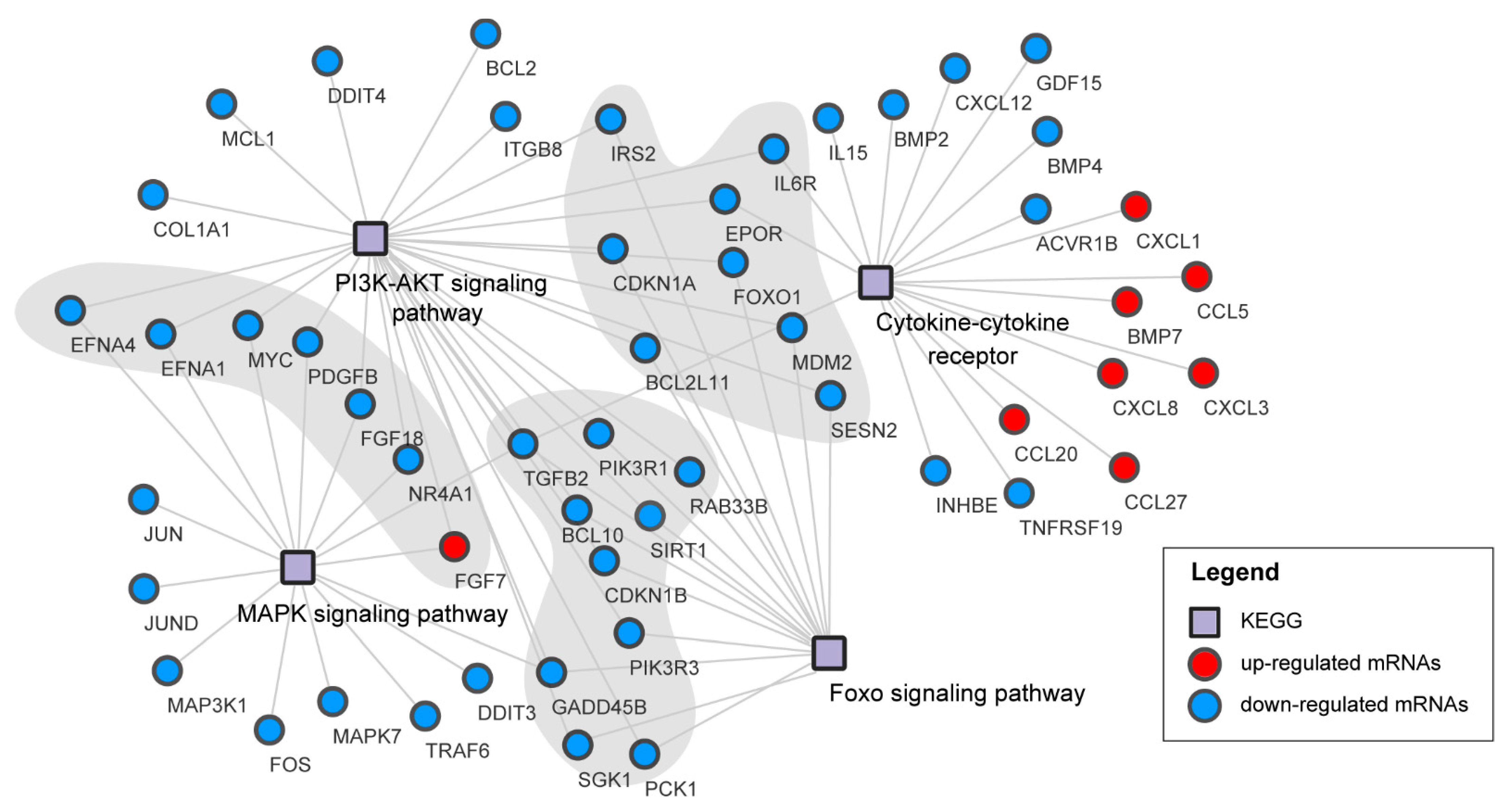 Viruses 13 00674 g007