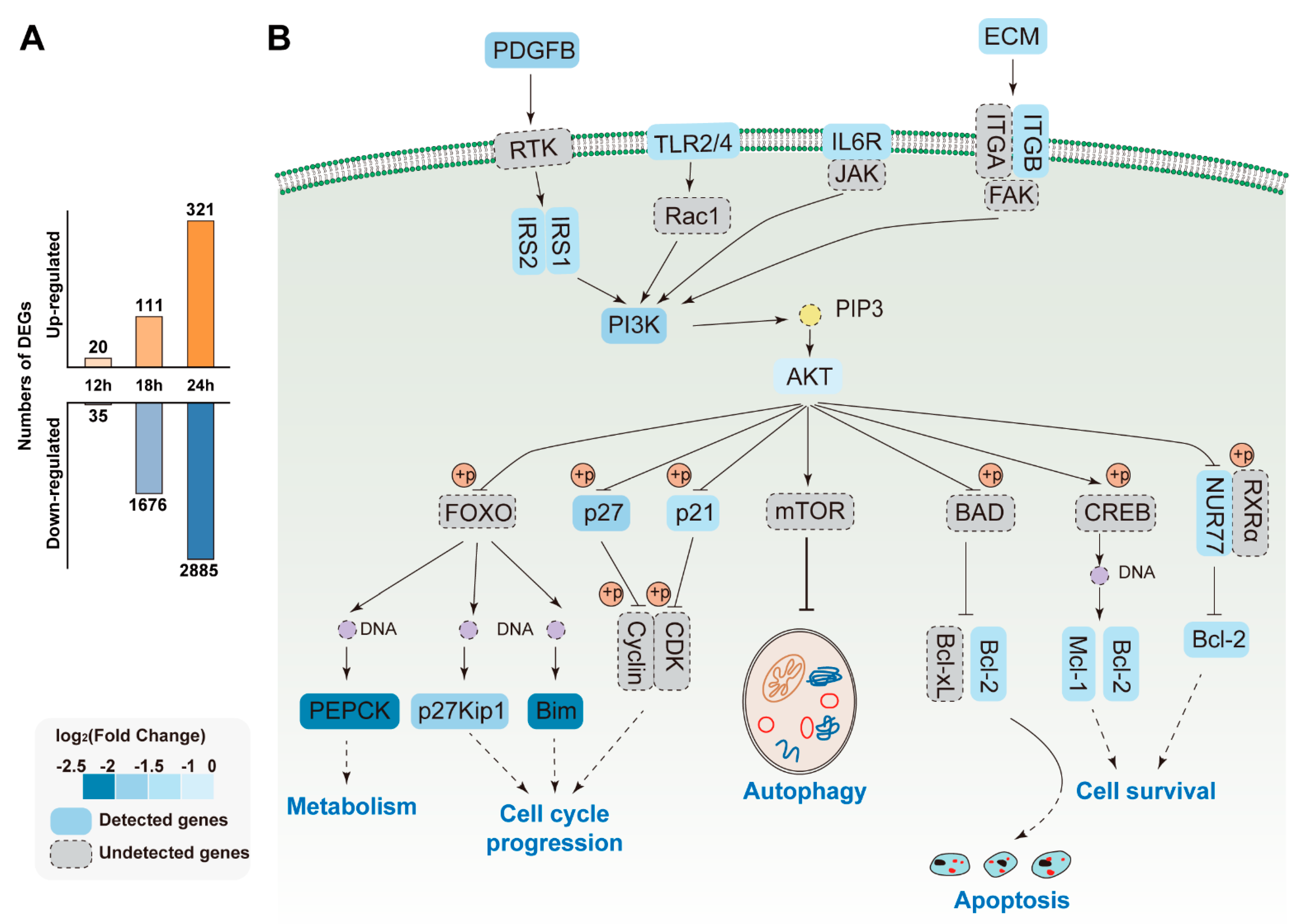 Viruses 13 00674 g008
