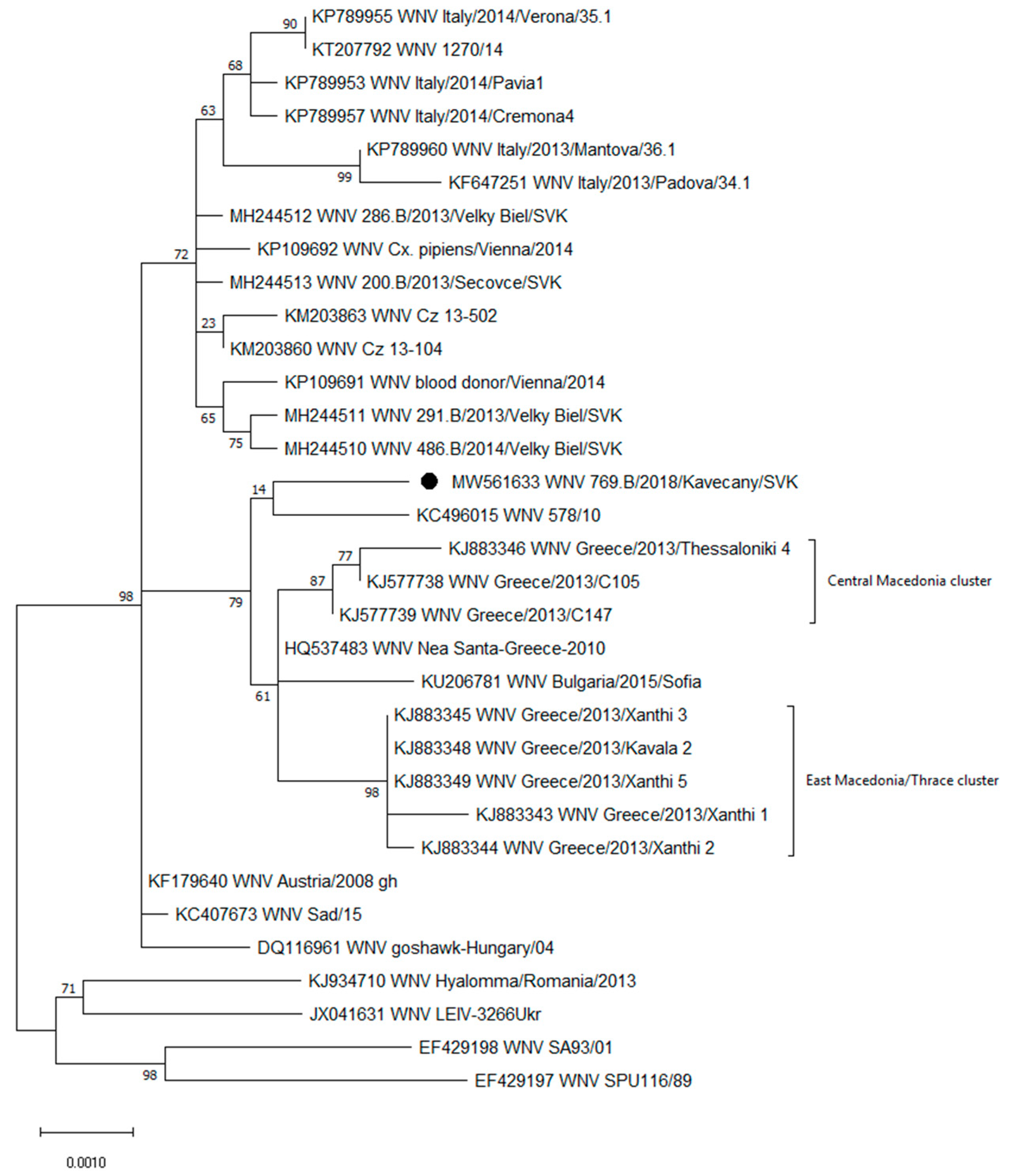 Viruses 13 00699 g001 Viruses 13 00699 g001