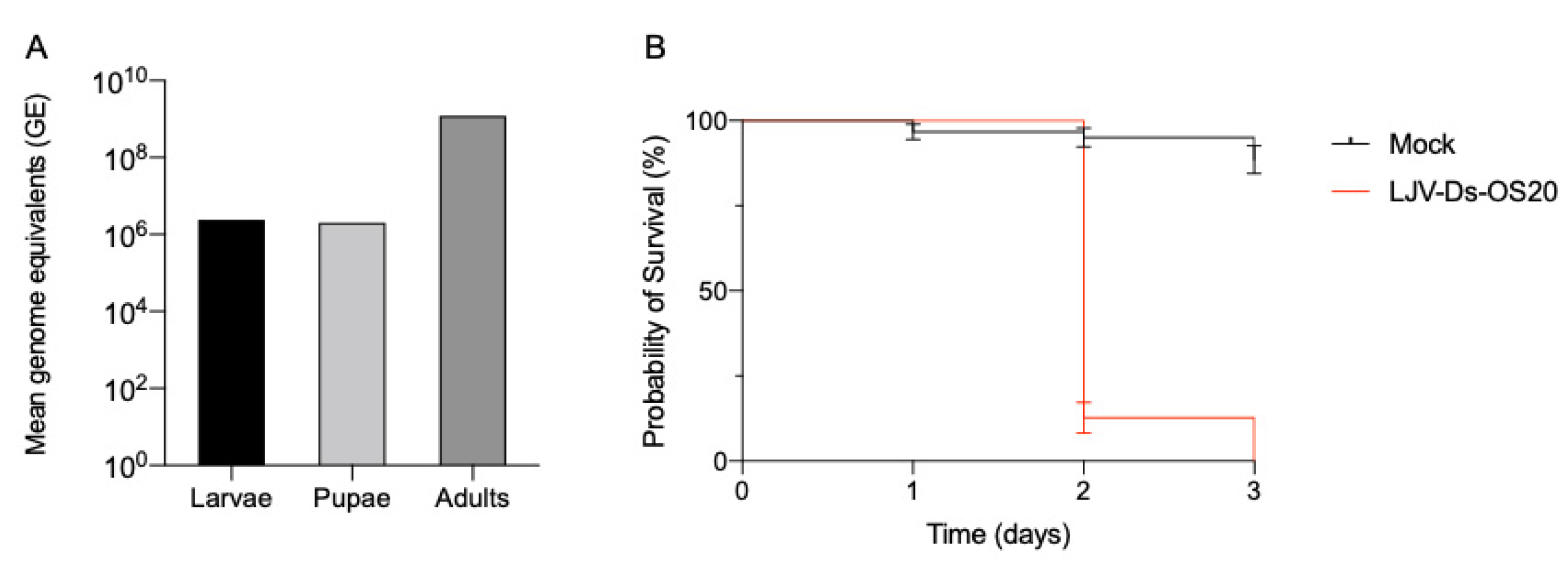 Viruses 13 00740 g002