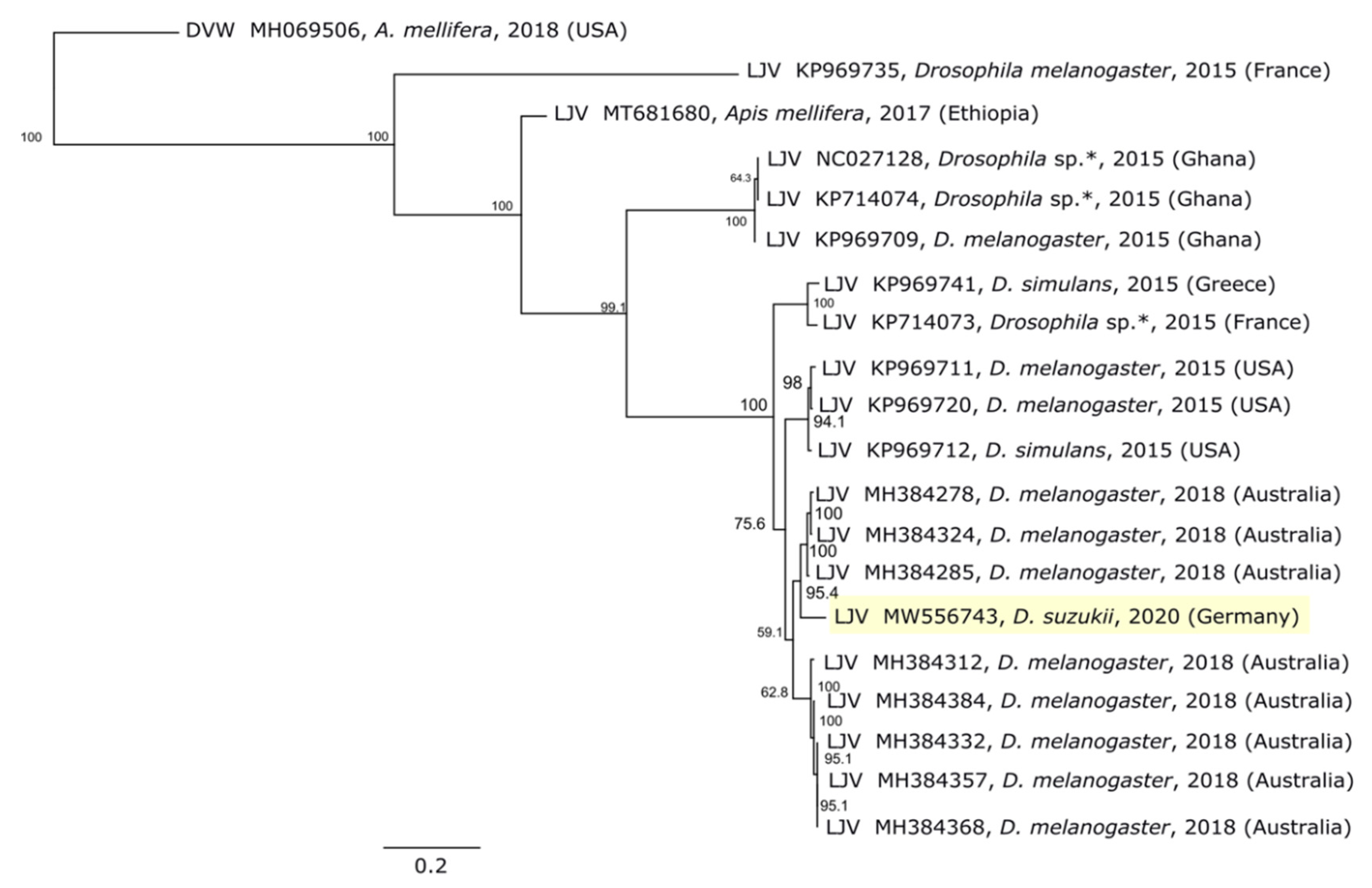 Viruses 13 00740 g004