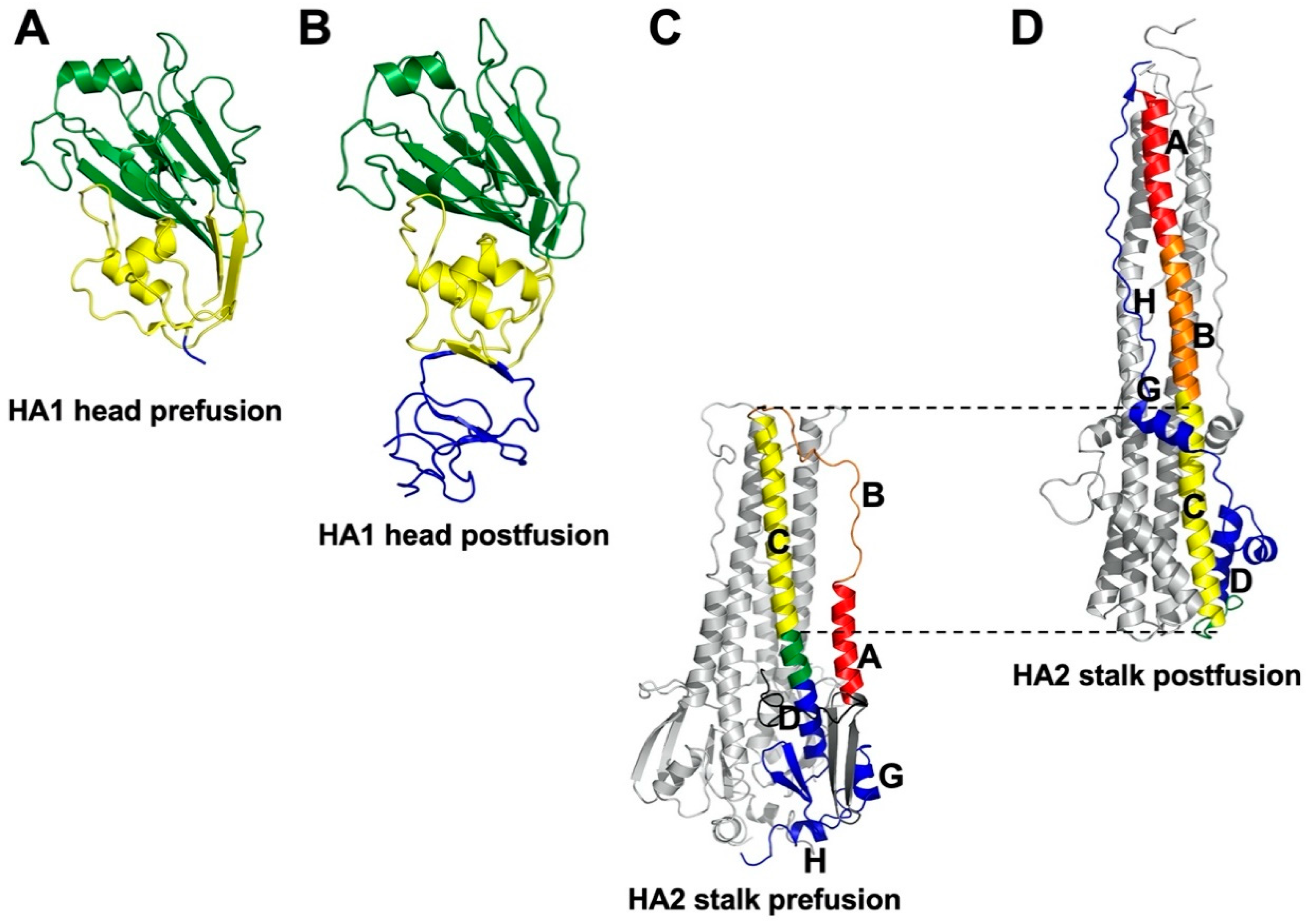 Viruses 13 00746 g003