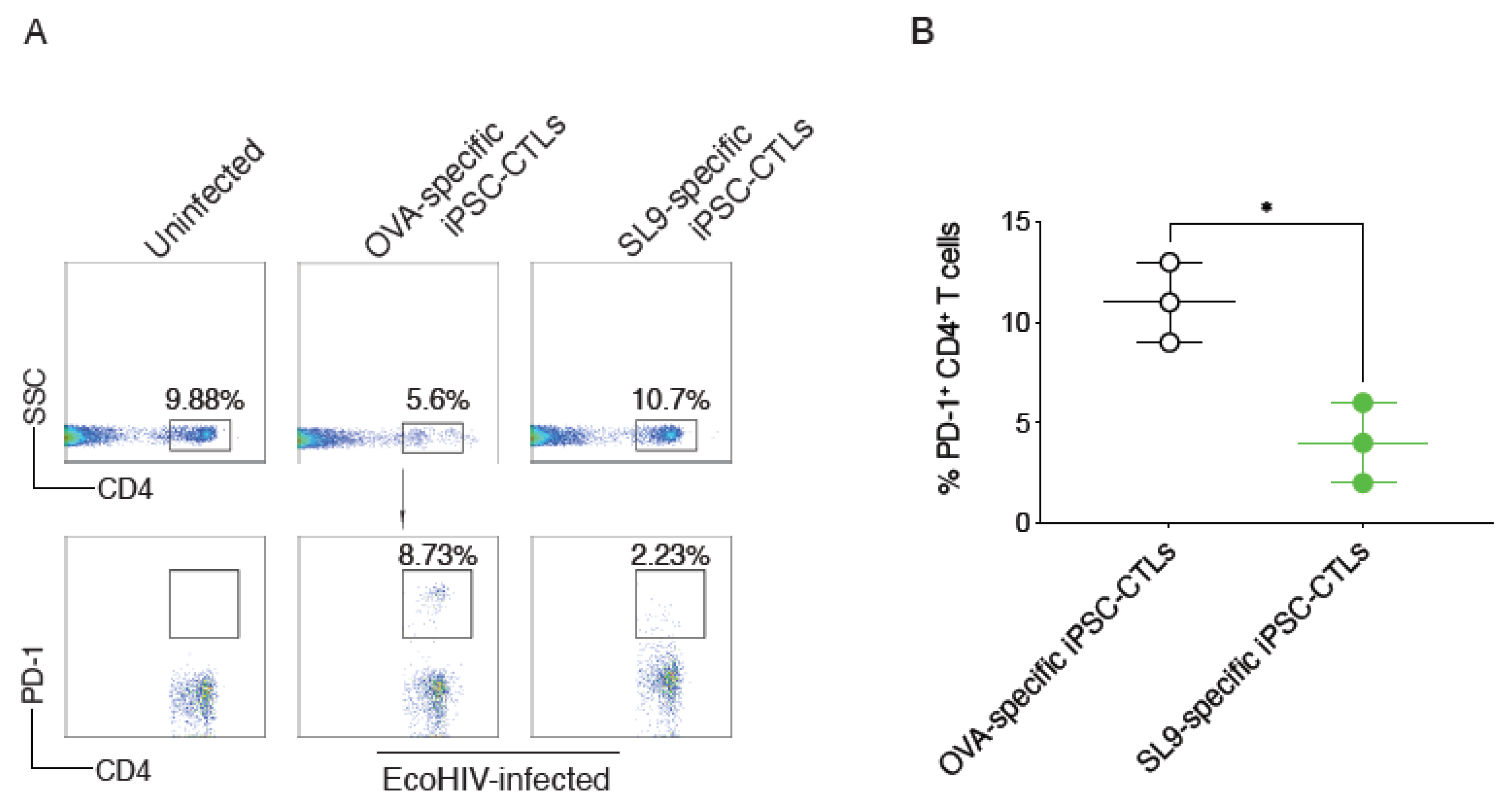 Viruses | Free Full-Text | Stem Cell-Derived Viral Antigen