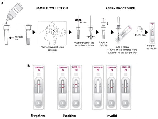 Viruses | Free Full-Text | Development and Clinical Evaluation of an  Immunochromatography-Based Rapid Antigen Test (GenBody™ COVAG025) for  COVID-19 Diagnosis