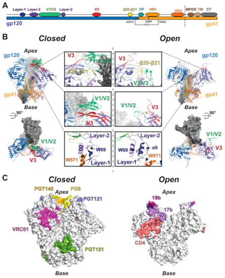 https://www.mdpi.com/viruses/viruses-13-00852/article_deploy/html/images/viruses-13-00852-g001-550.jpg