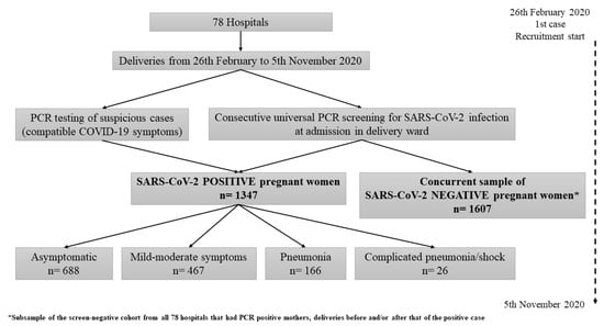 Viruses | Free Full-Text | Pregnancy Outcomes and SARS-CoV-2 Infection: The  Spanish Obstetric Emergency Group Study | HTML