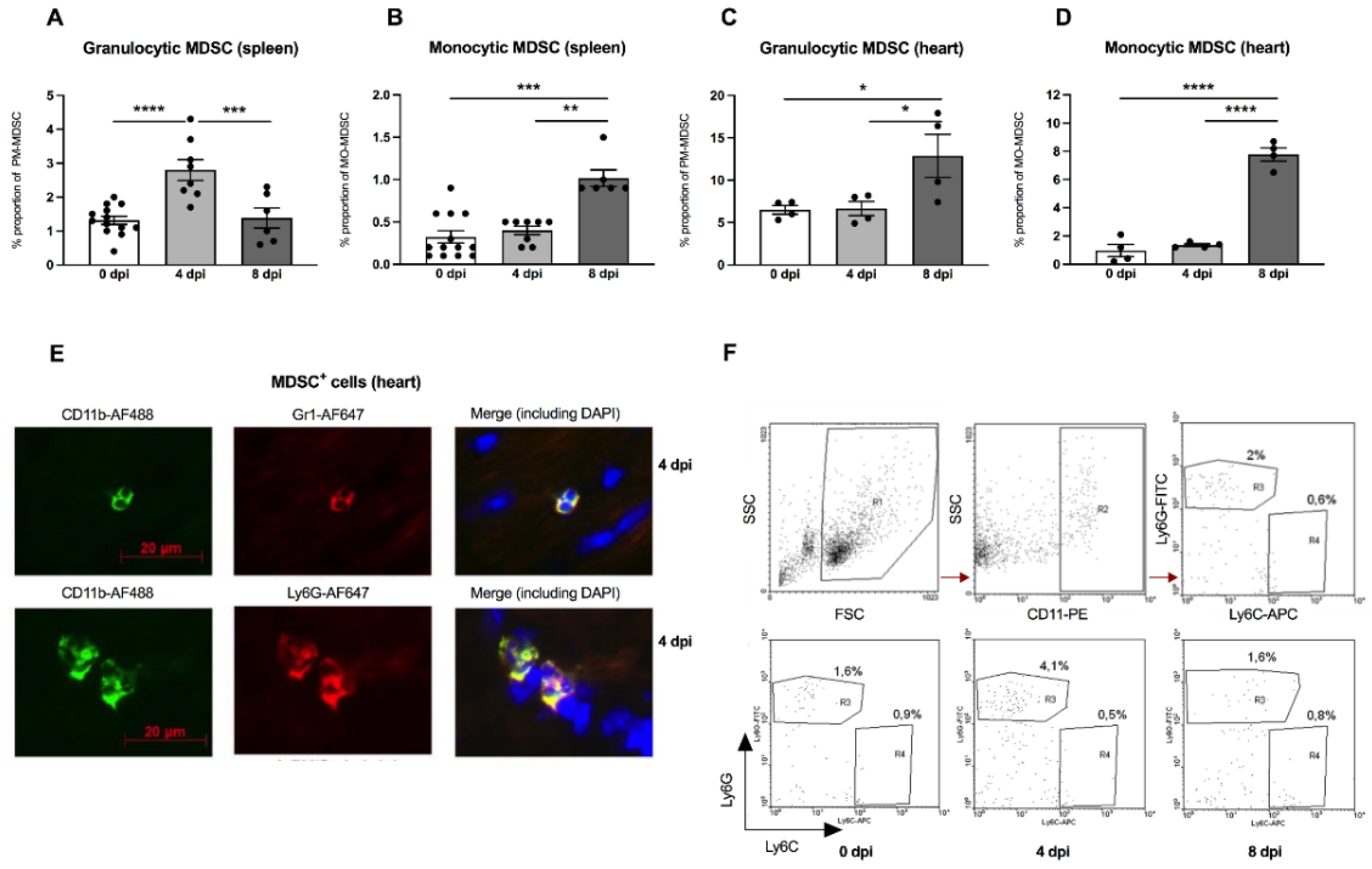 Viruses 13 00889 g001
