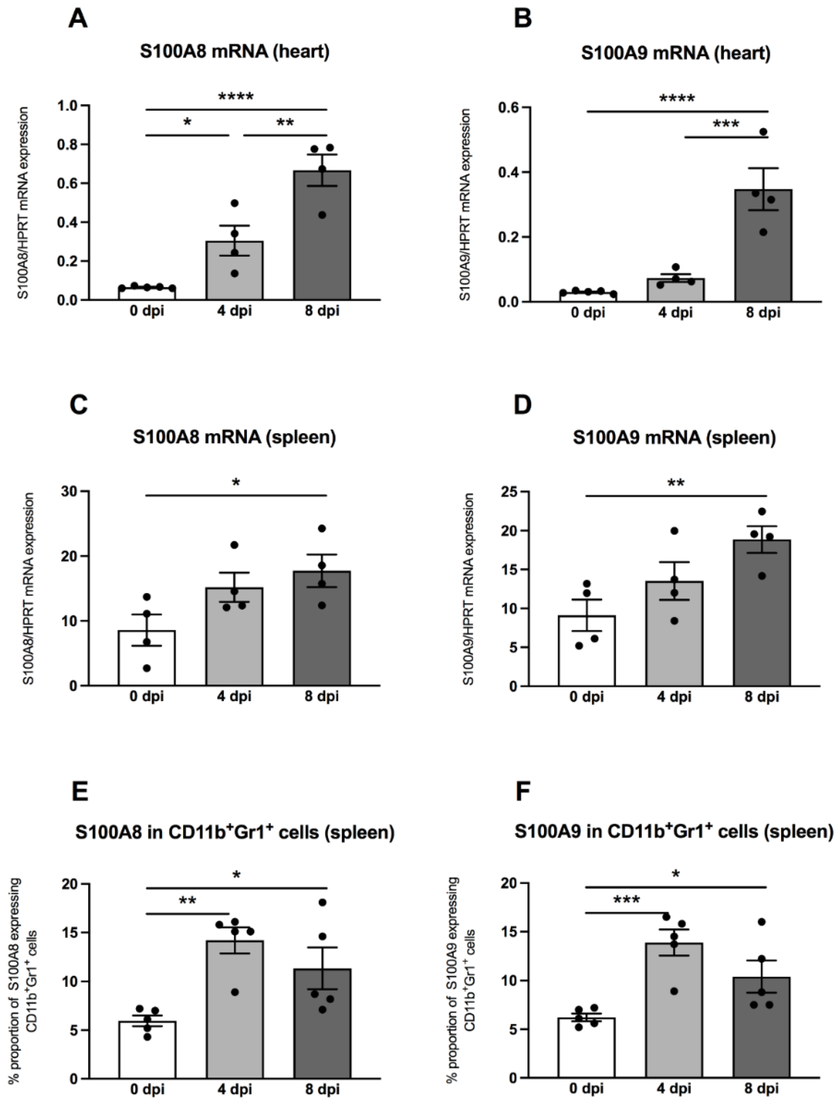 Viruses 13 00889 g004