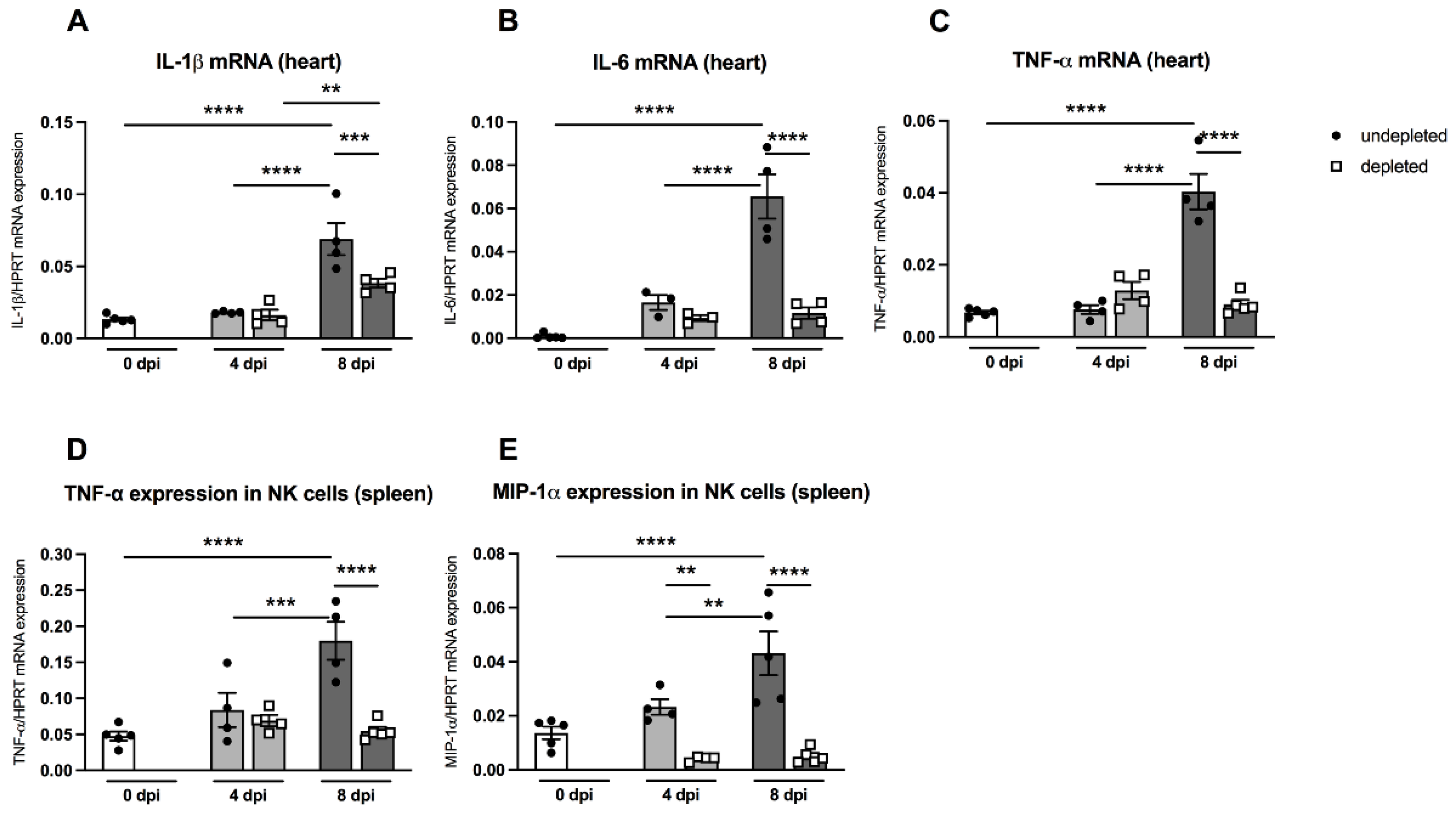 Viruses 13 00889 g006