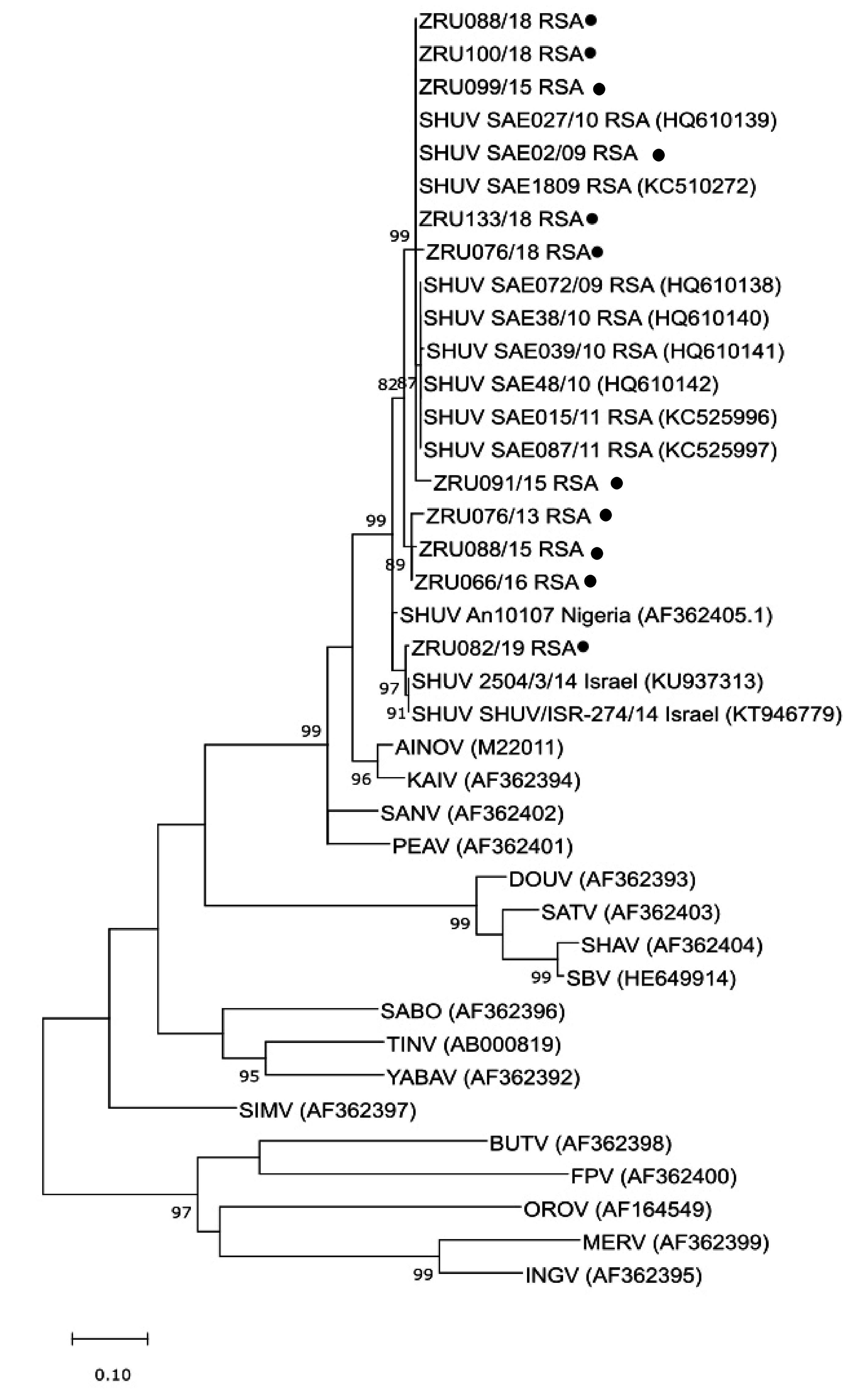 Viruses 13 00937 g003