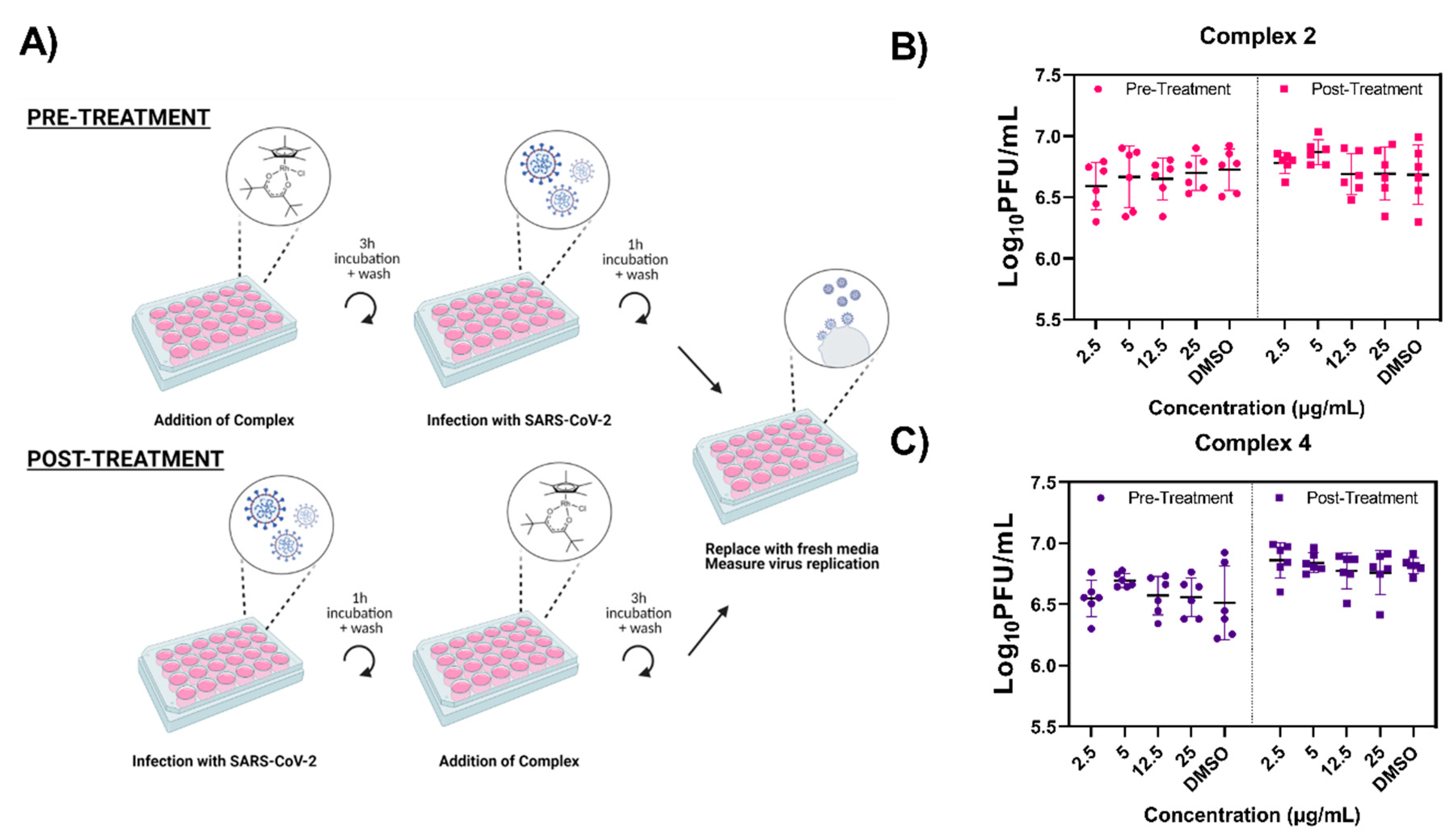 Viruses 13 00980 g006