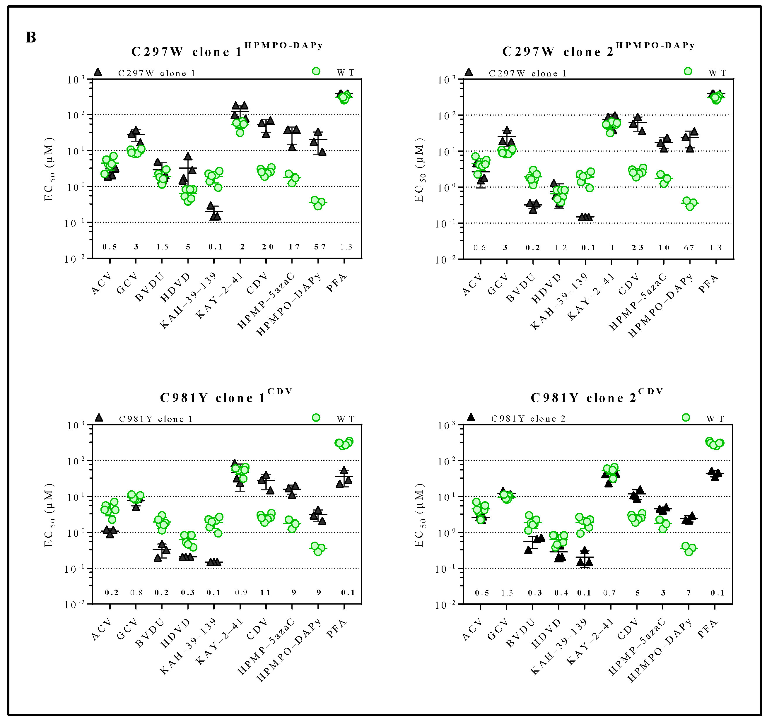 Viruses 13 00985 g002b