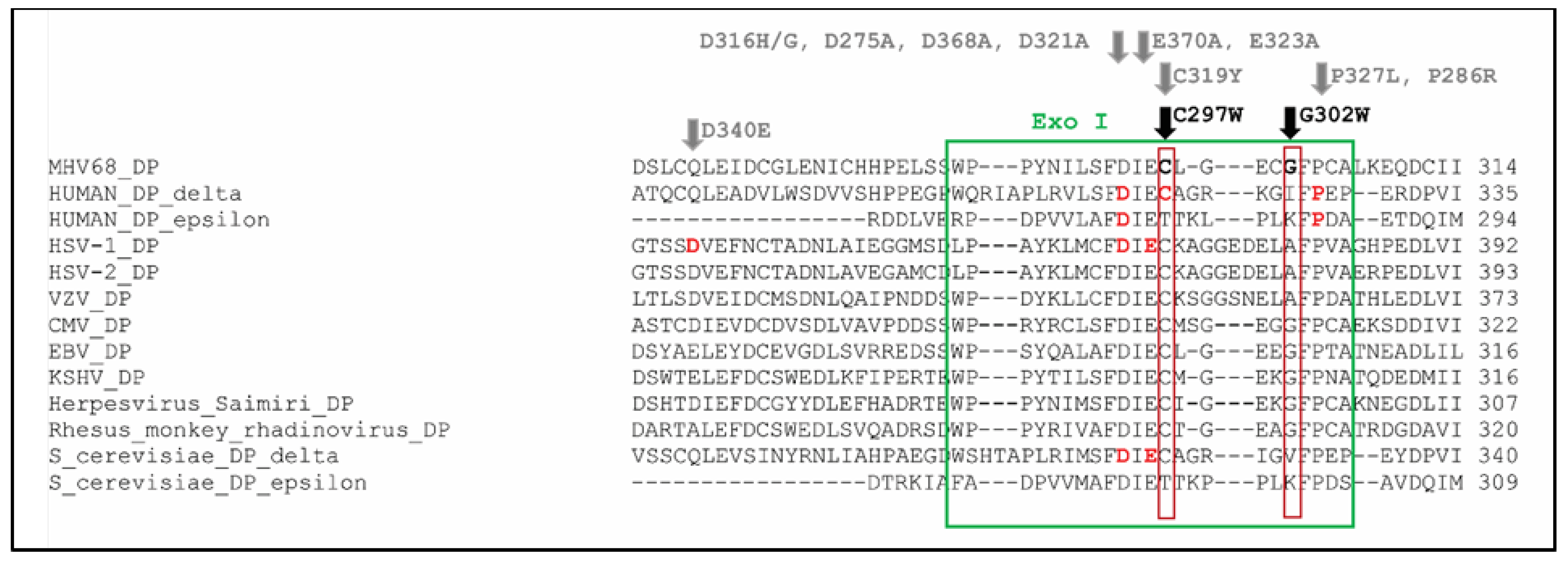 Viruses 13 00985 g006