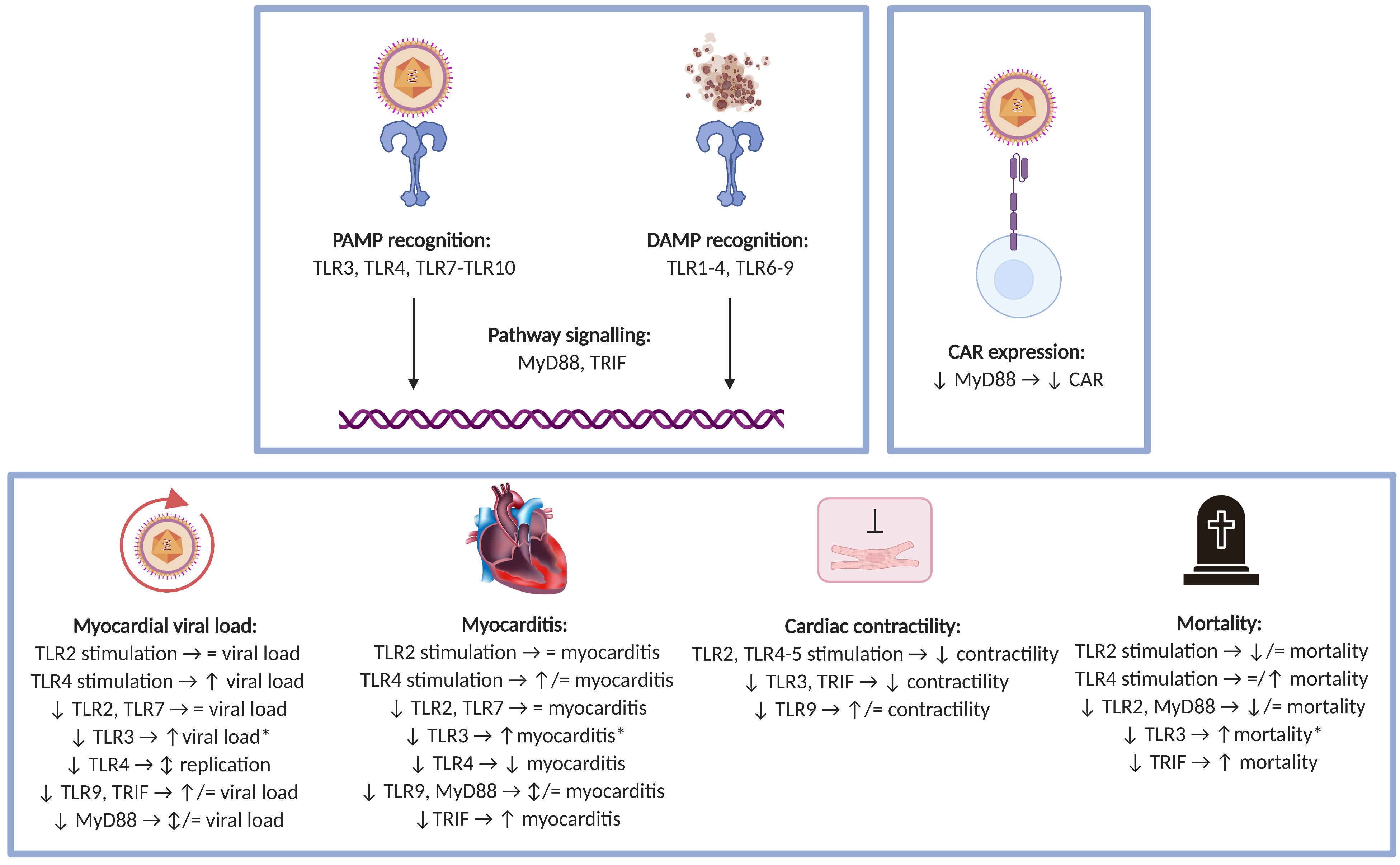 Viruses 13 01003 g004 Viruses 13 01003 g004