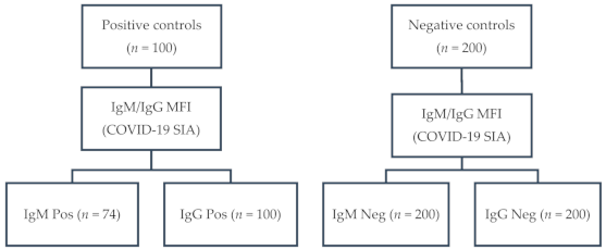 Viruses 13 01043 g001
