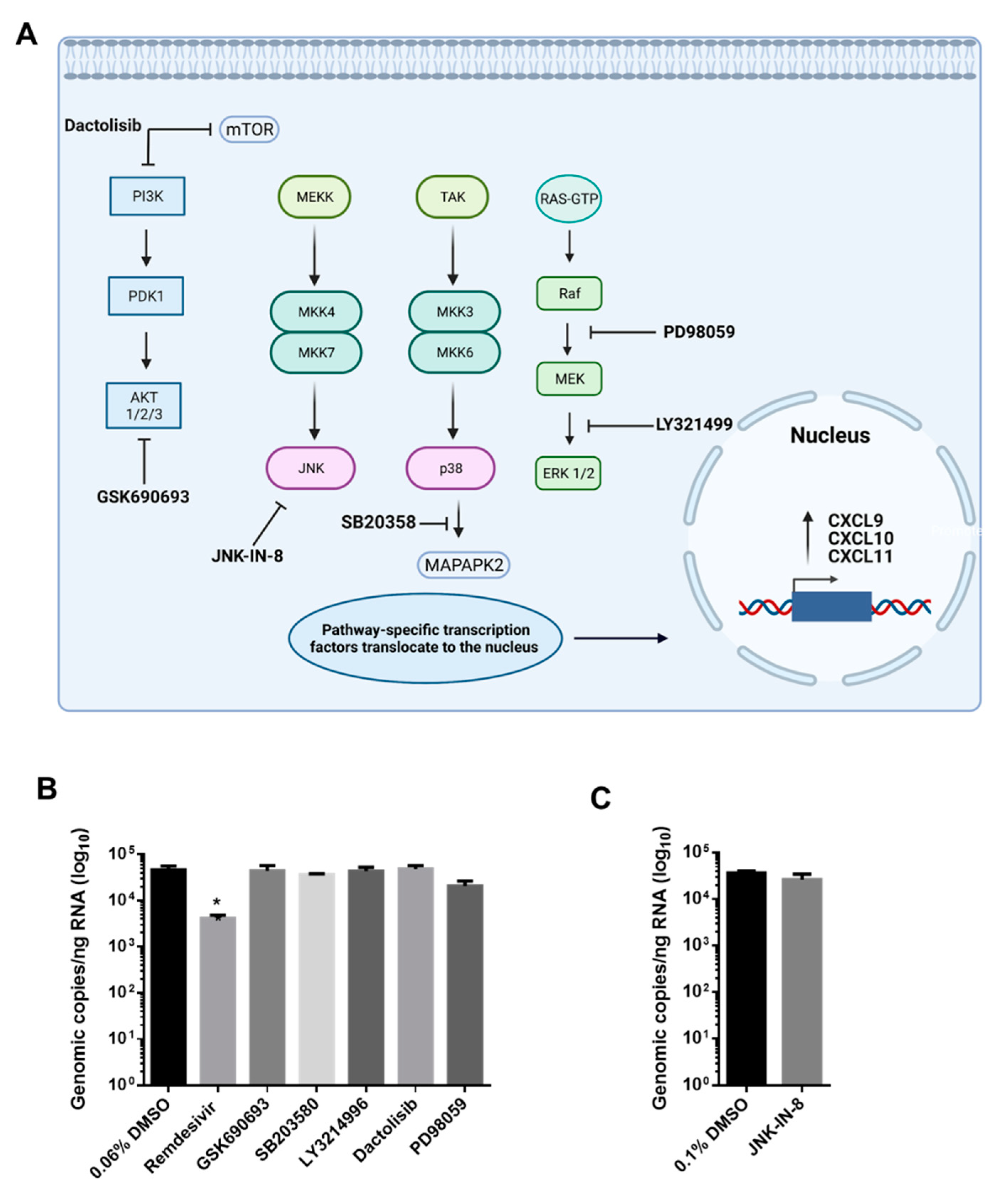 Viruses 13 01062 g004 Viruses 13 01062 g004