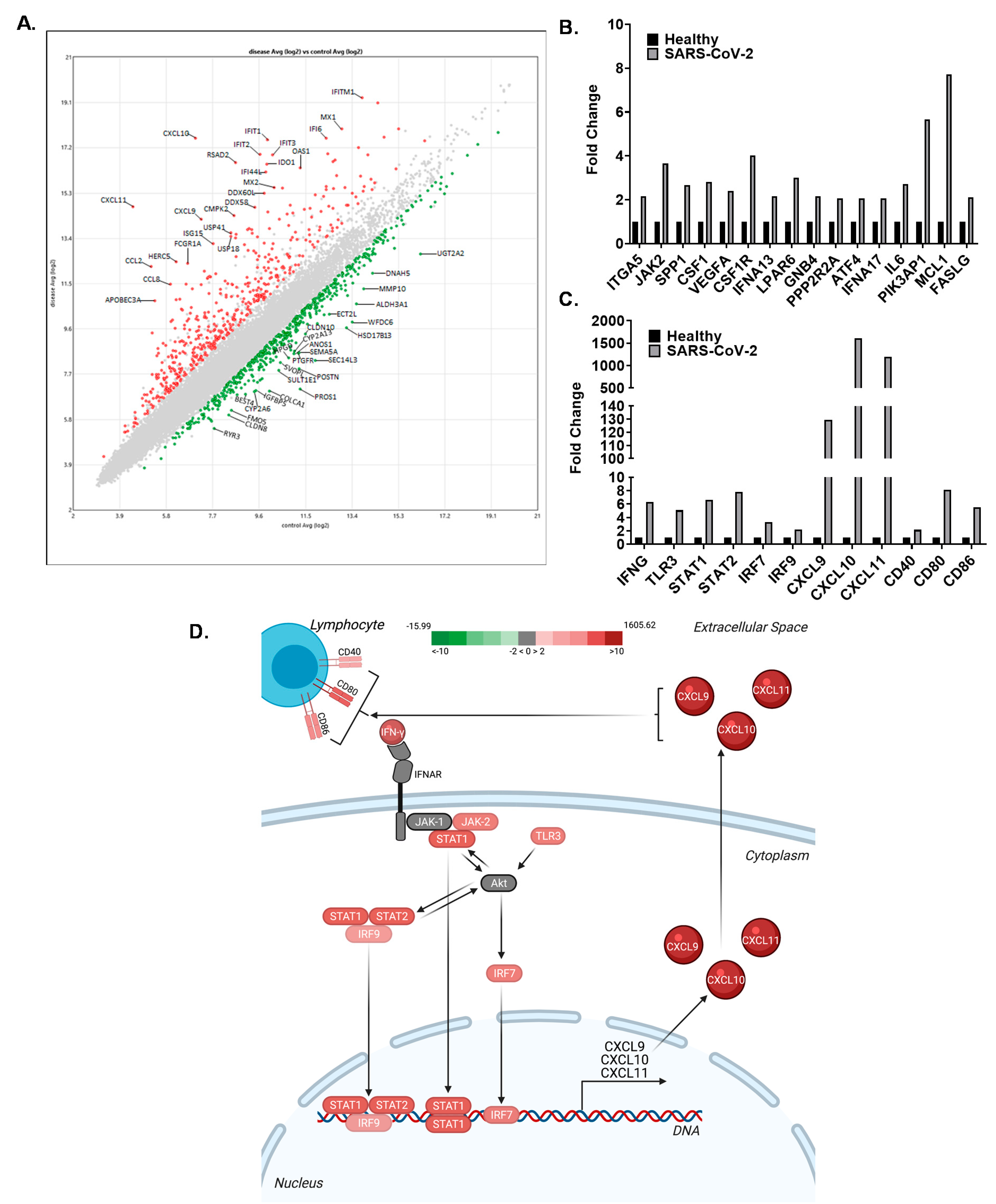 Viruses 13 01062 g006 Viruses 13 01062 g006