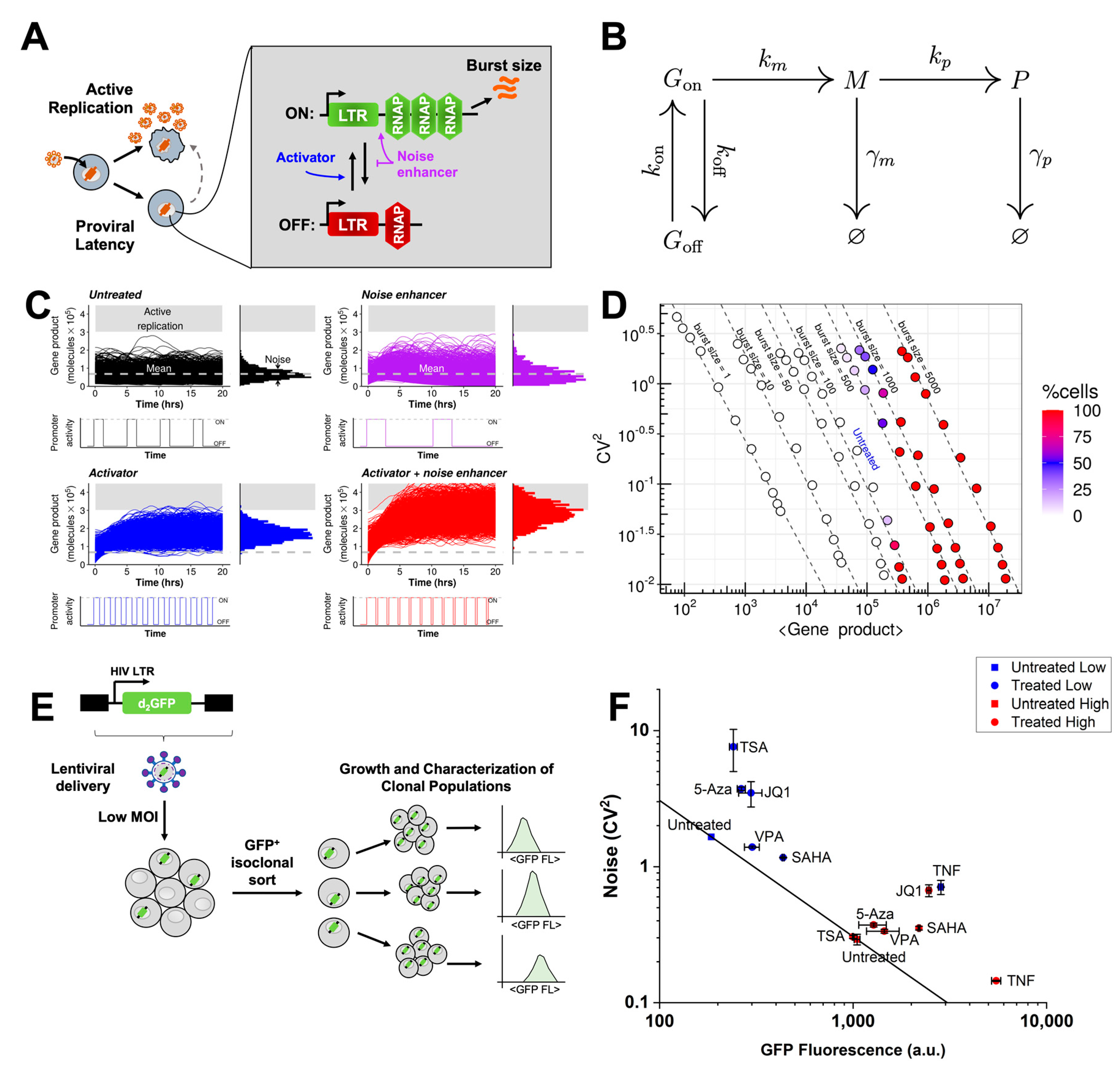 Multi-Cellular Engineered Living Systems  Carl R. Woese Institute for  Genomic Biology