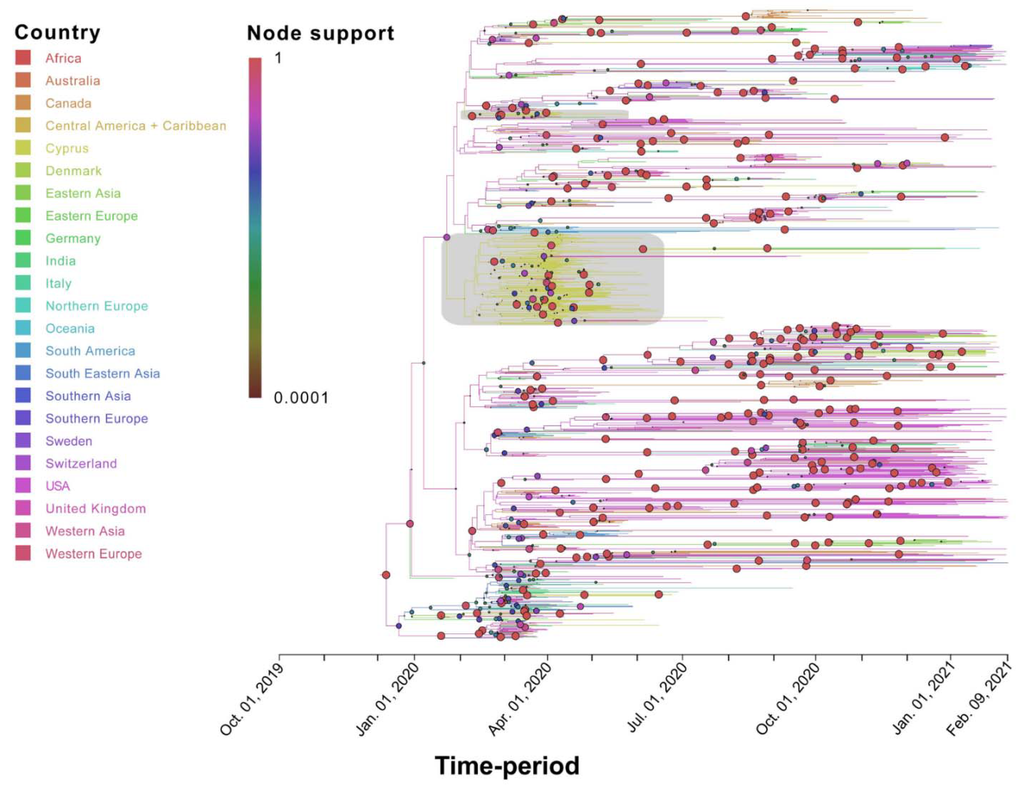 Viruses 13 01098 g005 Viruses 13 01098 g005