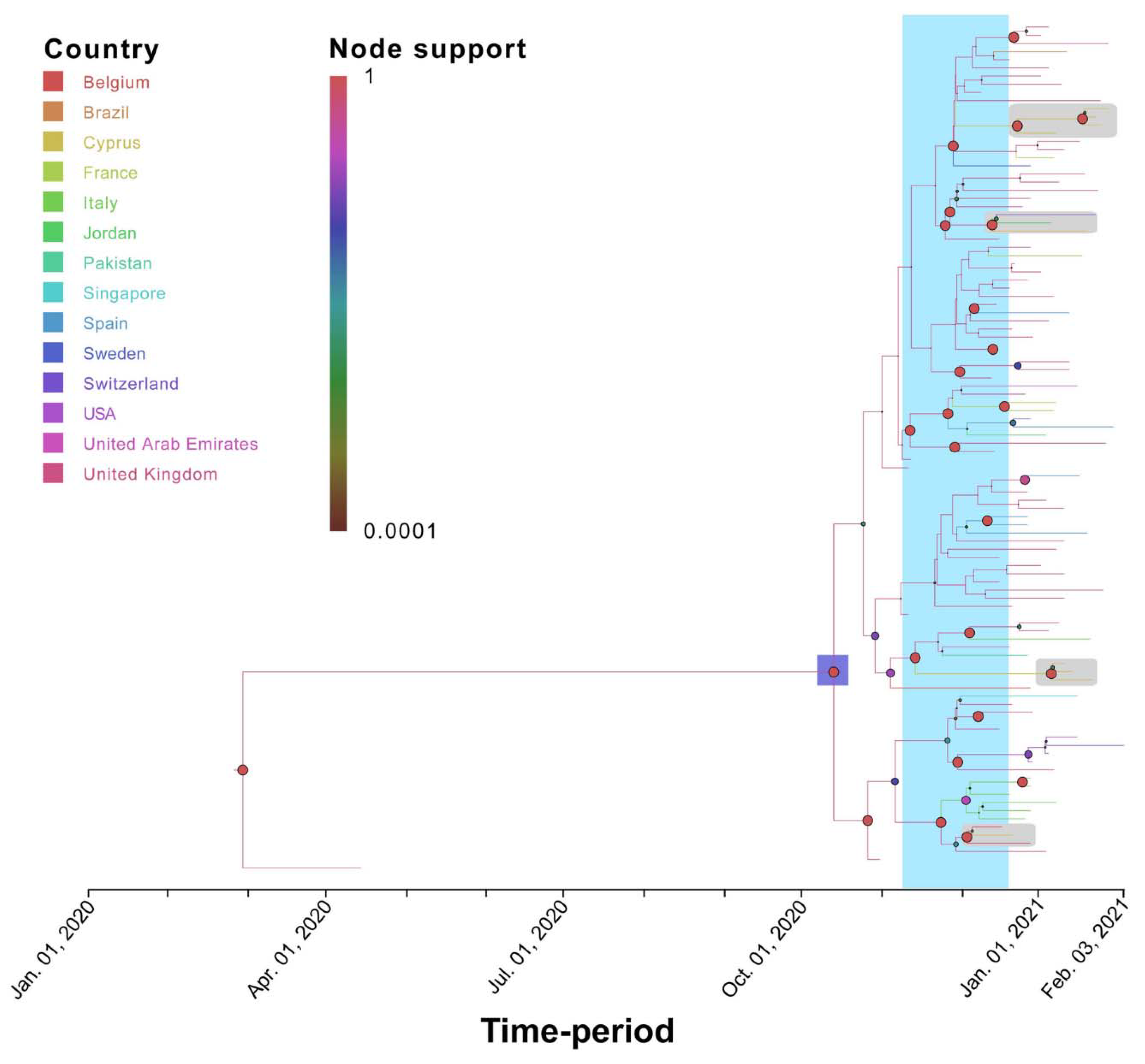 Viruses 13 01098 g007 Viruses 13 01098 g007