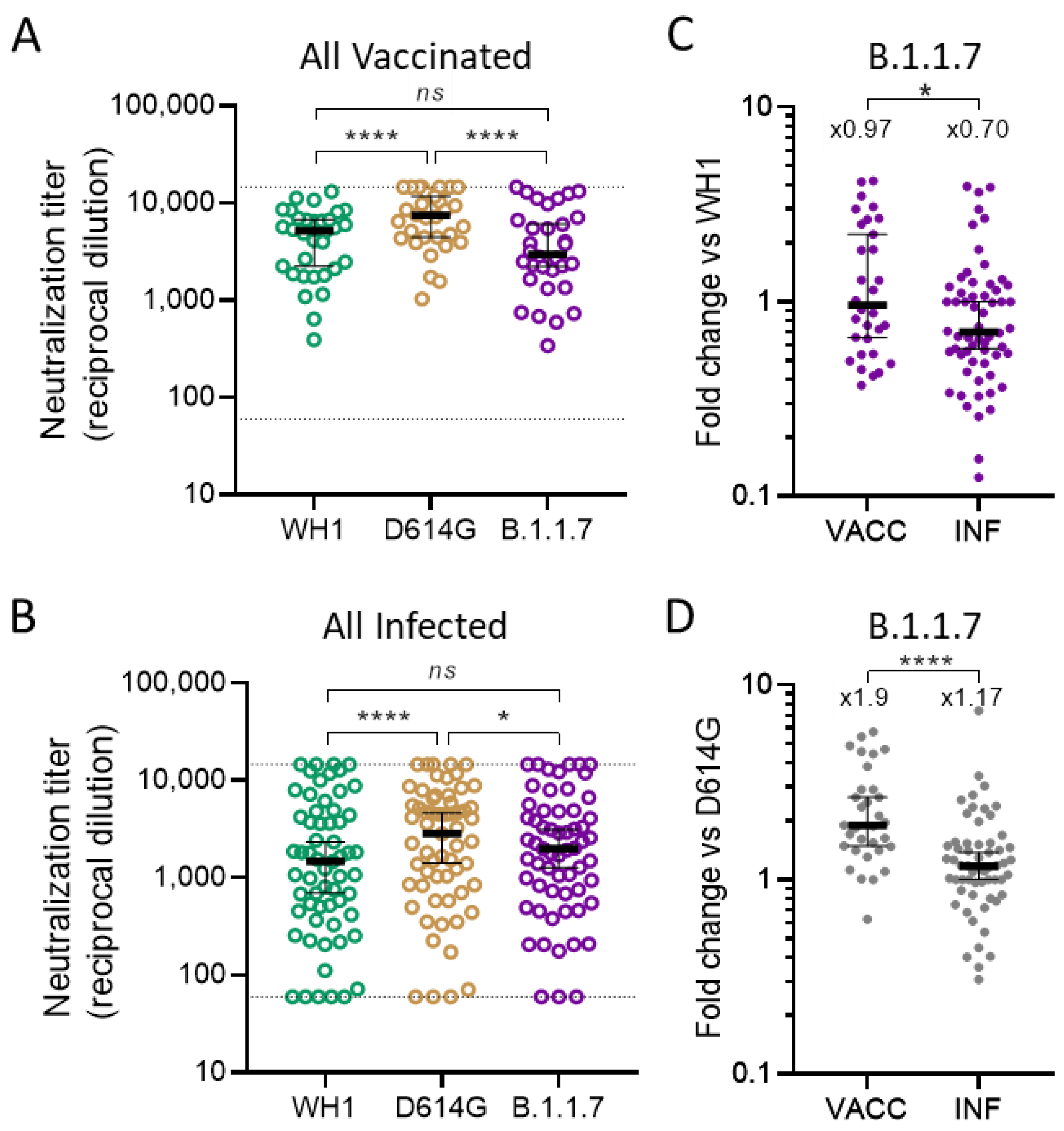 Viruses 13 01135 g002 Viruses 13 01135 g002
