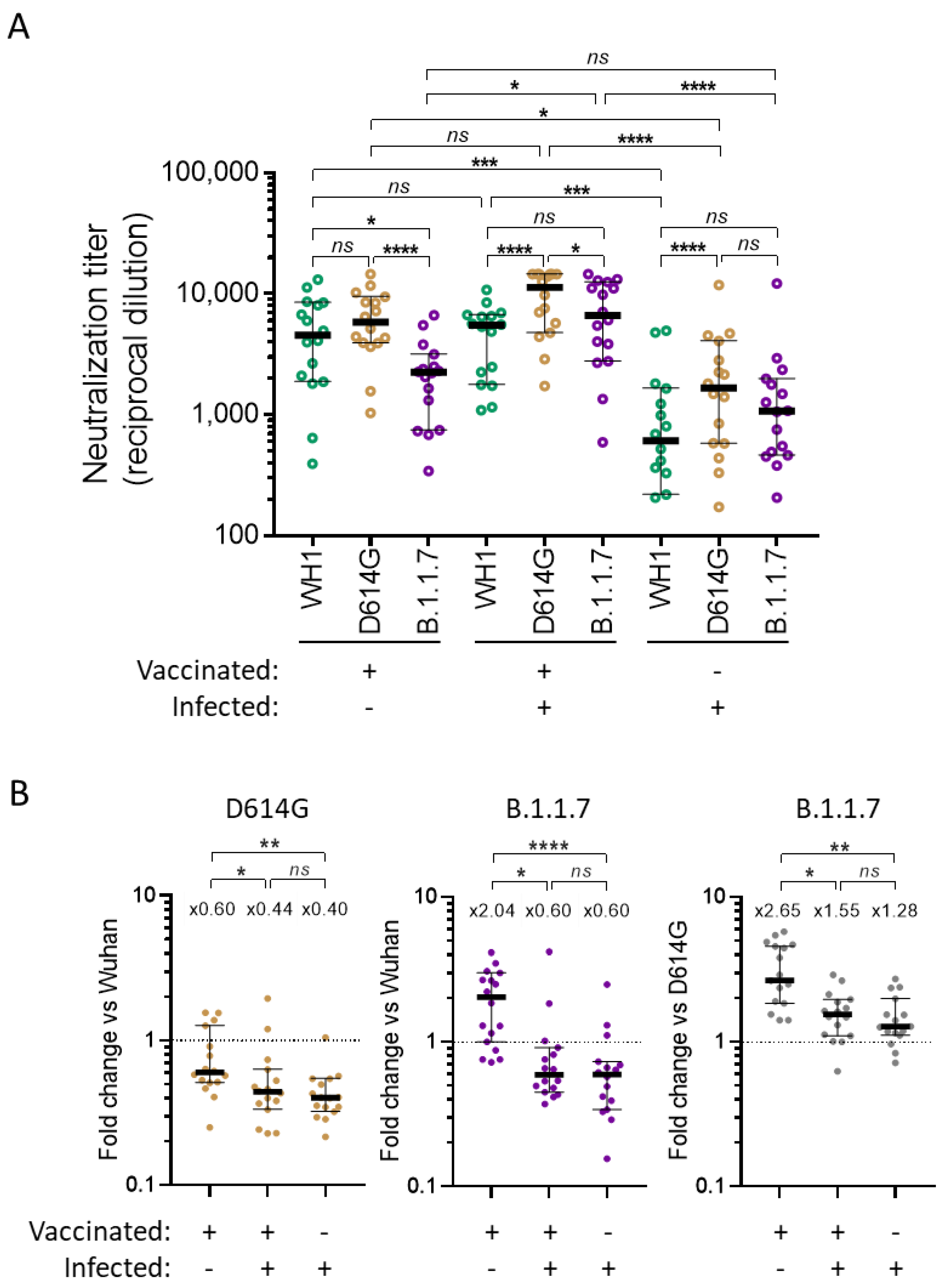 Viruses 13 01135 g004 Viruses 13 01135 g004