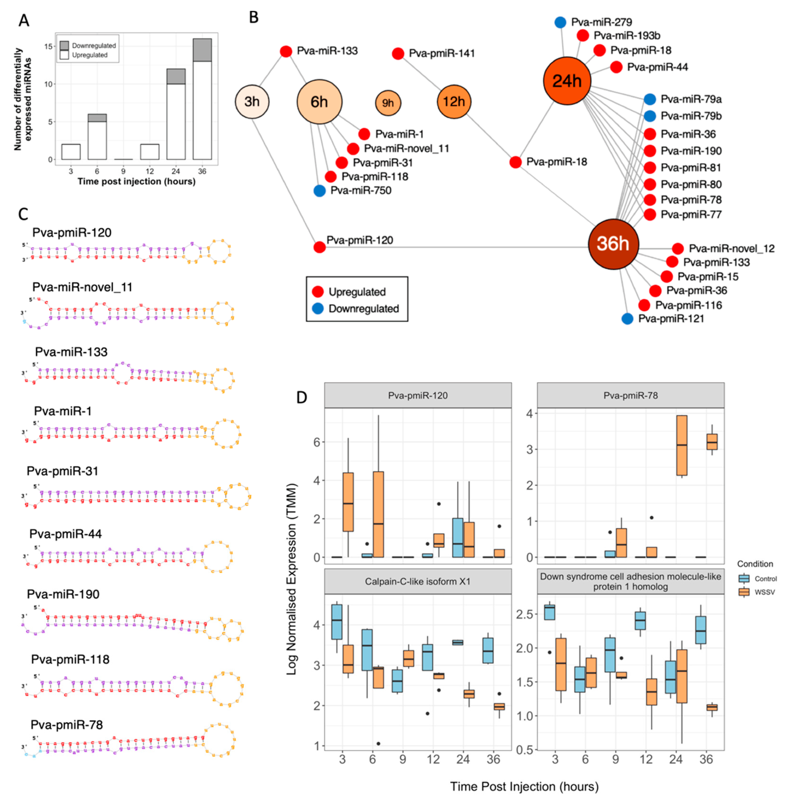 Viruses 13 01140 g004