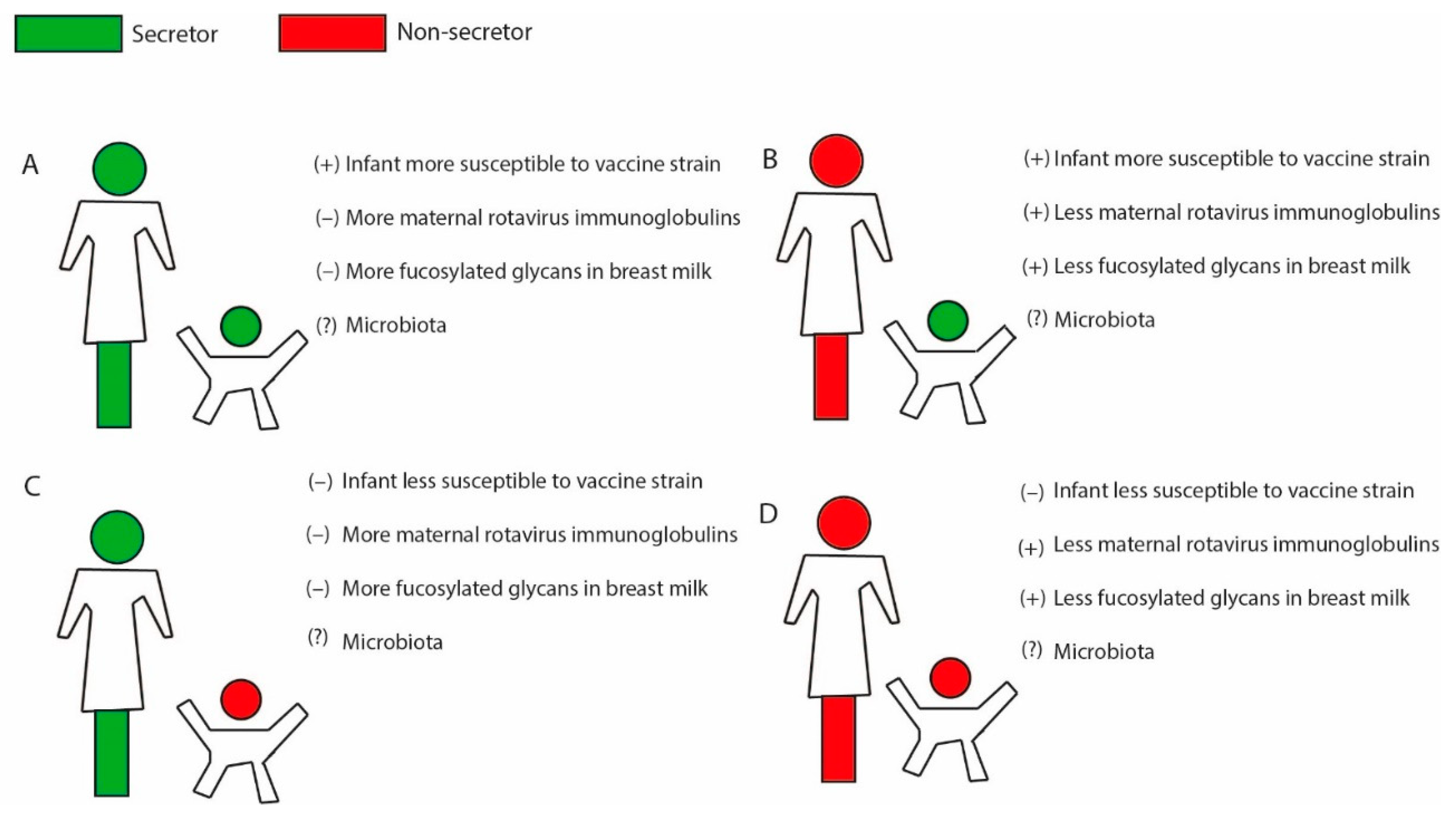 Viruses 13 01144 g001 Viruses 13 01144 g001