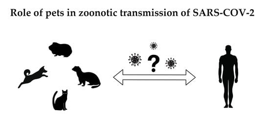 Viruses Free Full-Text Current State of Knowledge about Role of Pets in Zoonotic Transmission of SARS-CoV-2 pic