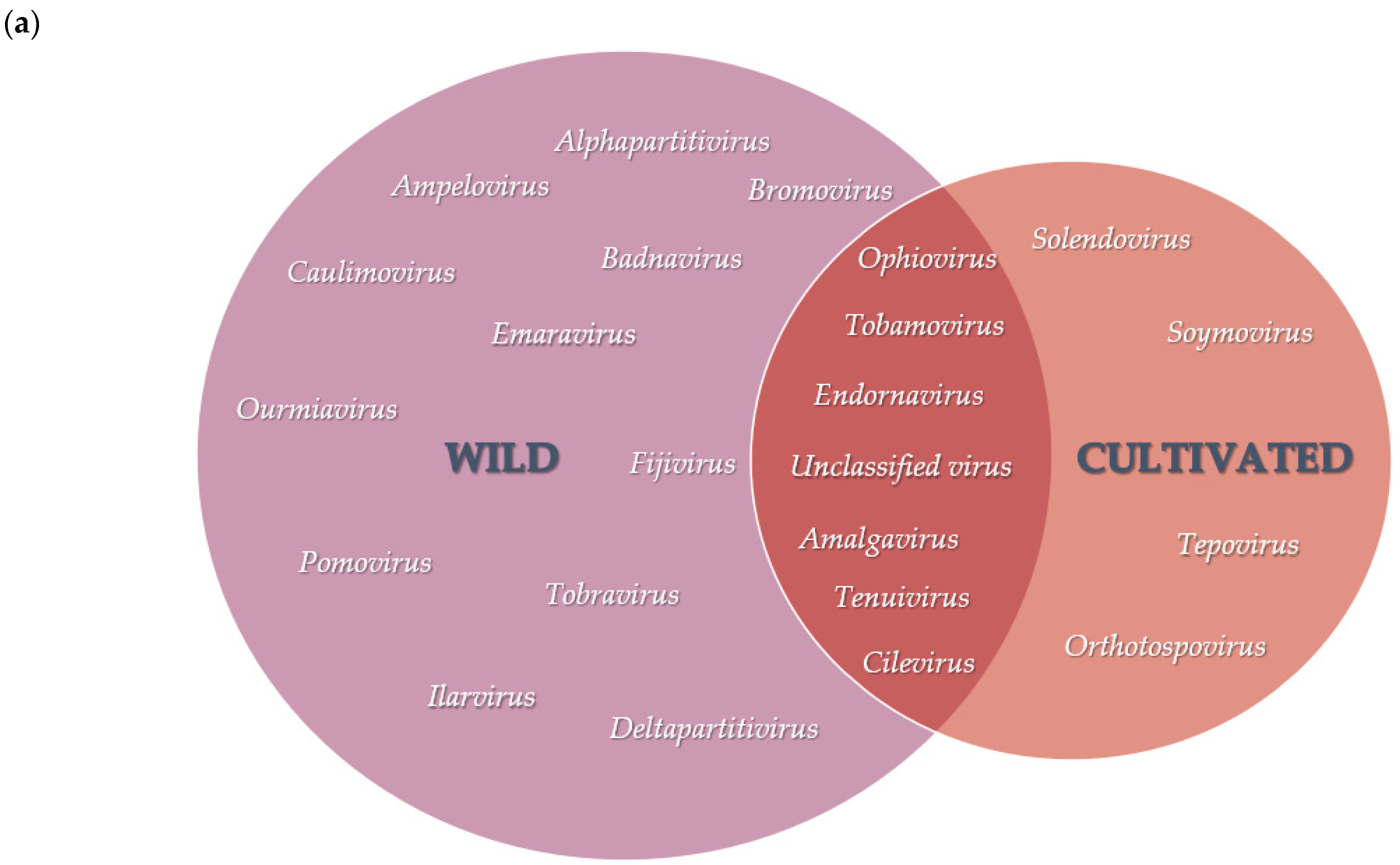 Viruses 13 01165 g003a