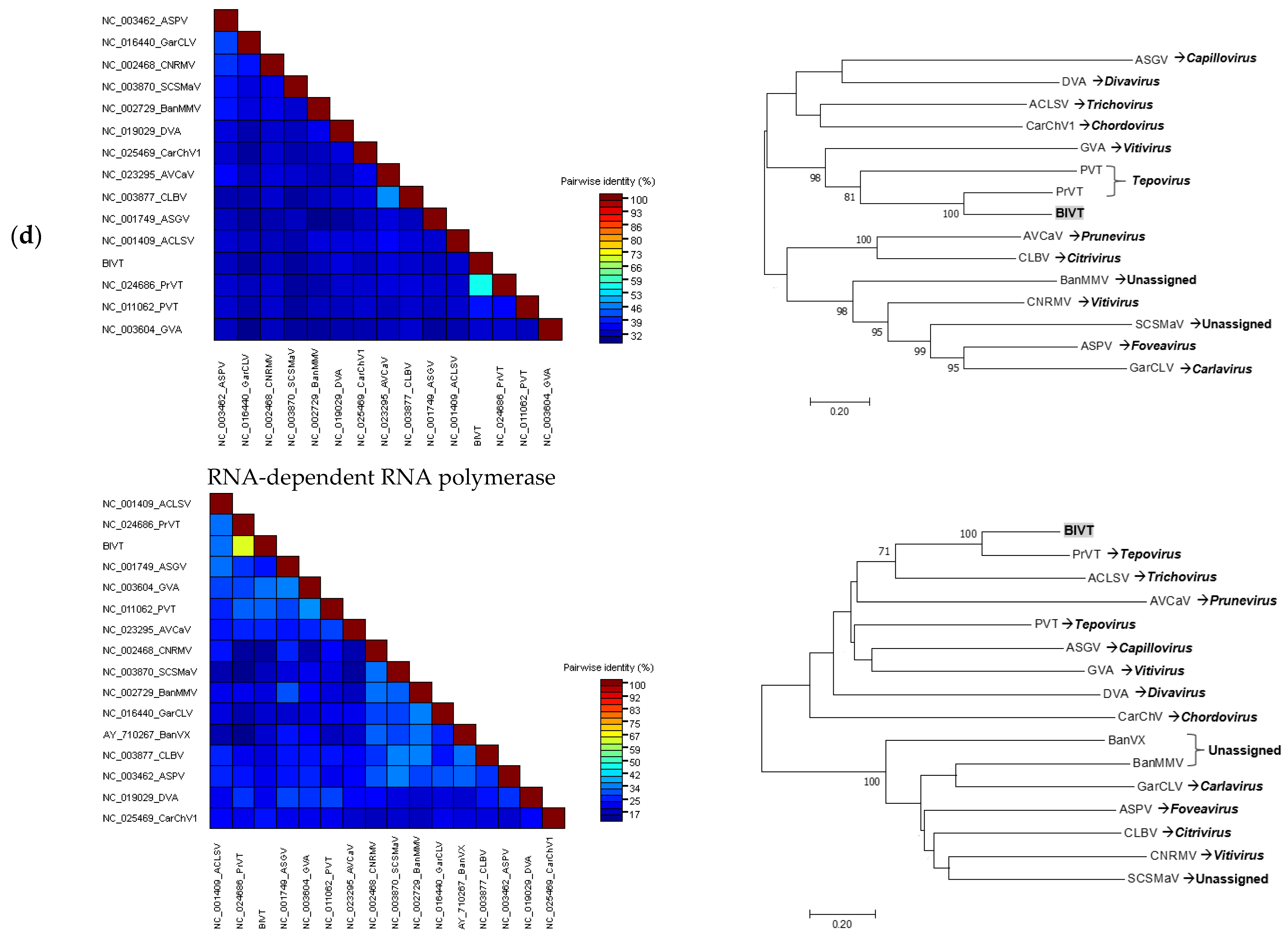 Viruses 13 01165 g004b