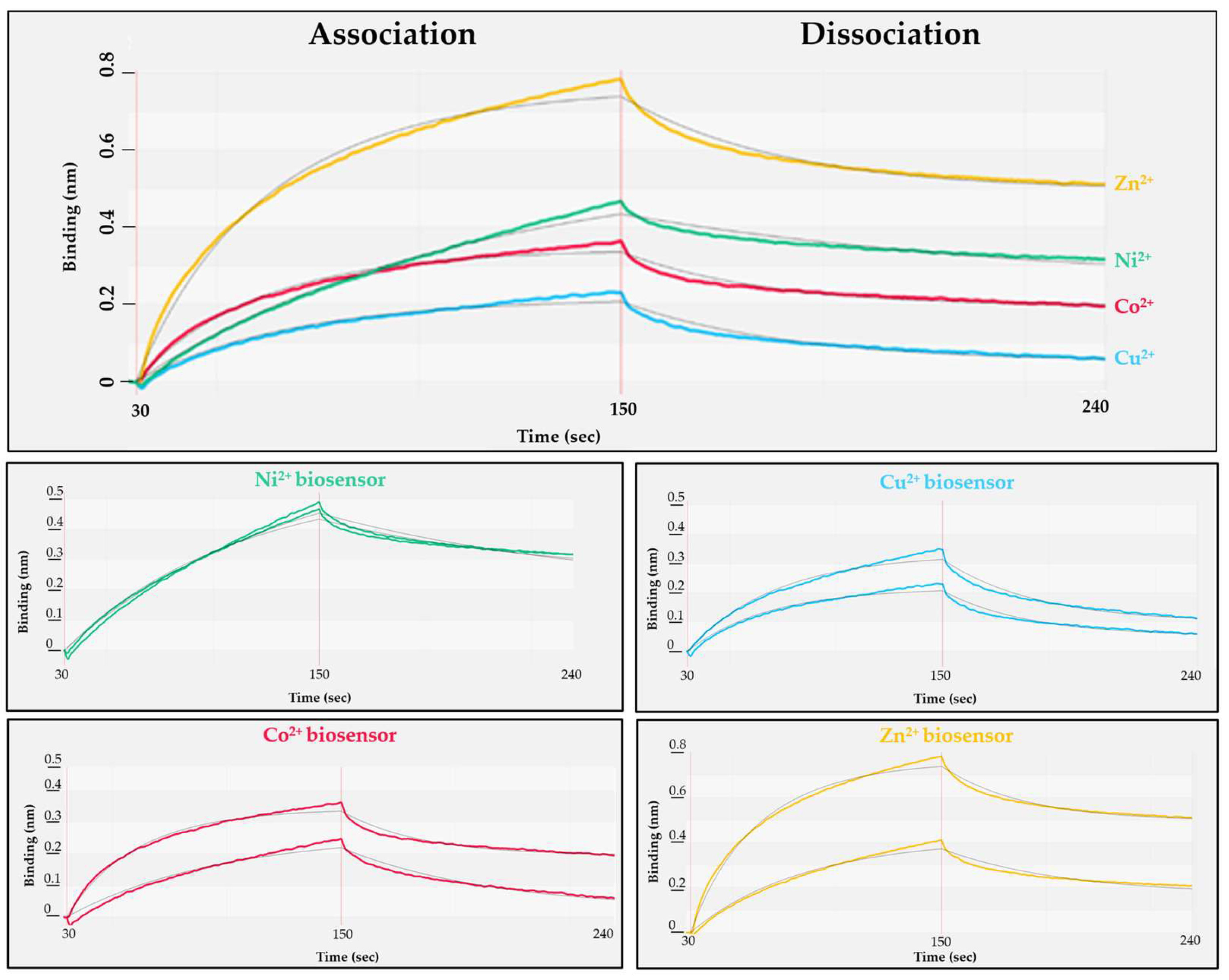 Viruses 13 01183 g003