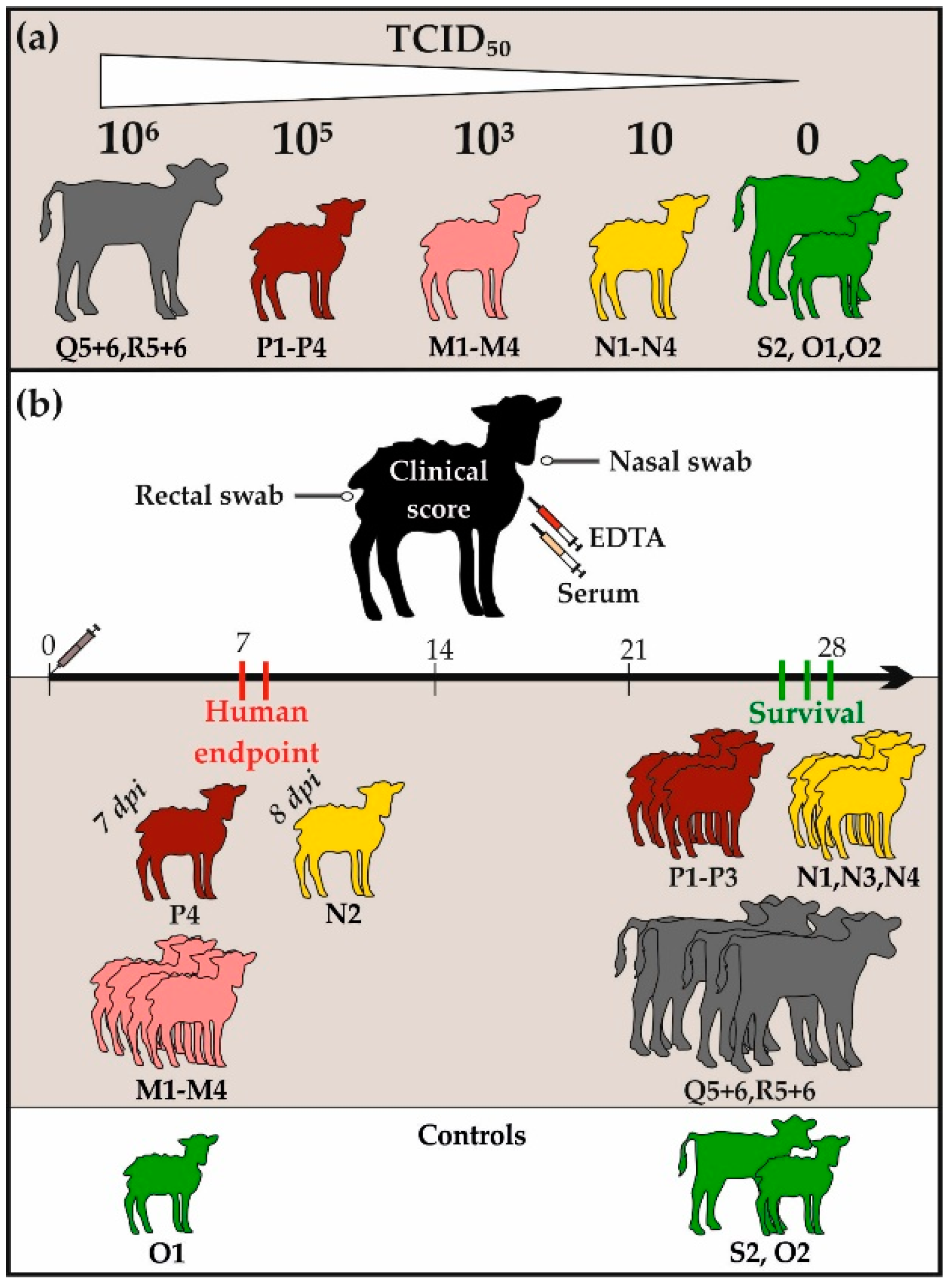 https://www.mdpi.com/viruses/viruses-13-01250/article_deploy/html/images/viruses-13-01250-g001.png