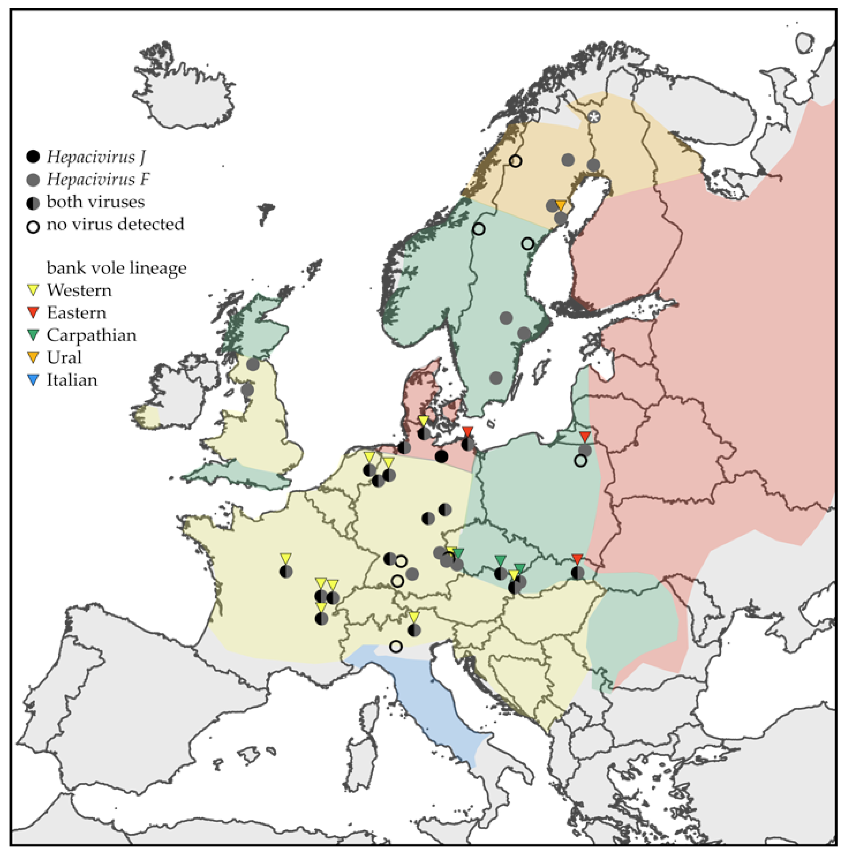 Viruses | Free Full-Text | Geographical Distribution and Genetic Diversity  of Bank Vole Hepaciviruses in Europe