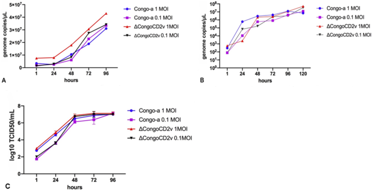 Viruses 13 01259 g002