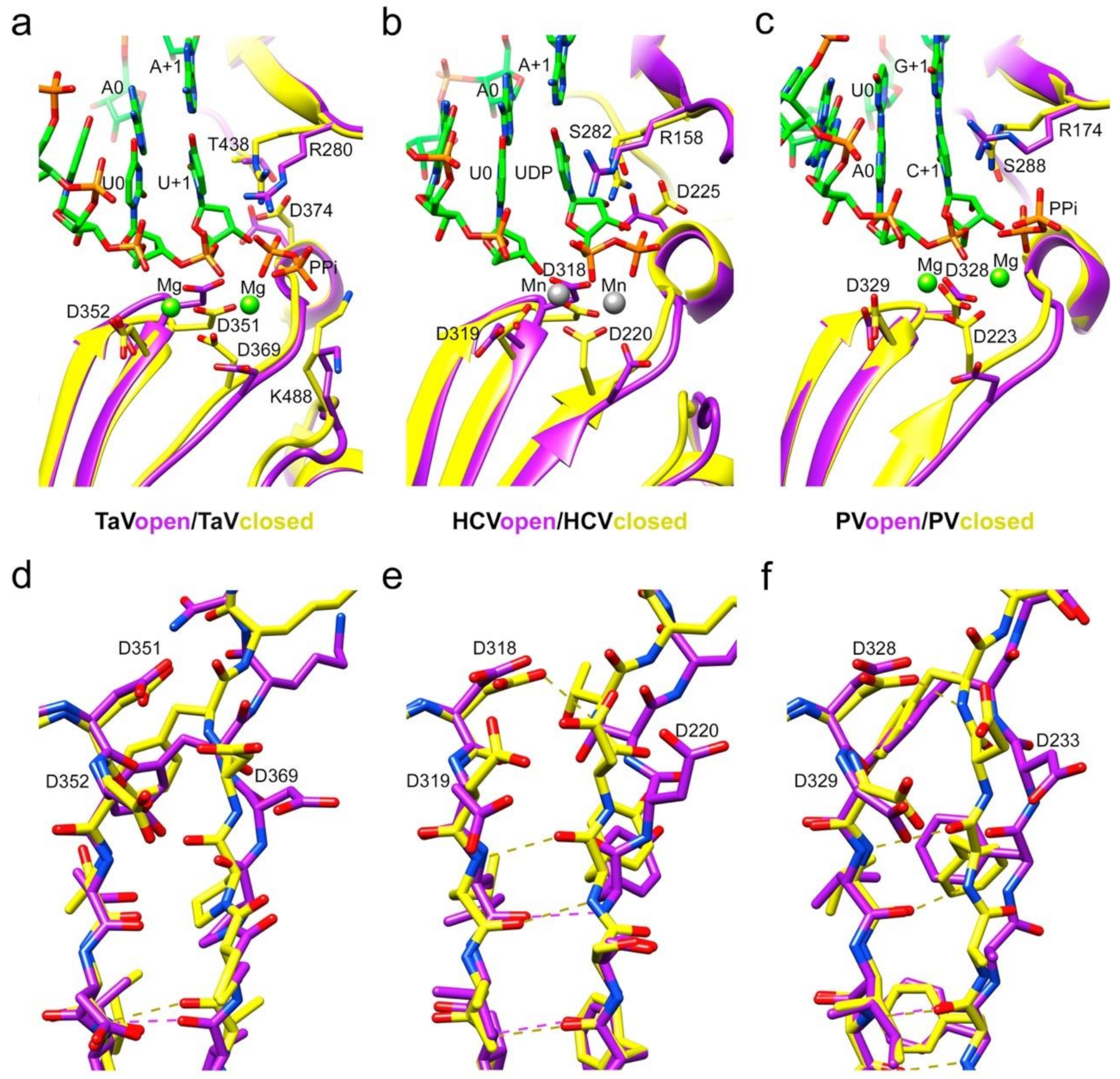 Viruses 13 01260 g003