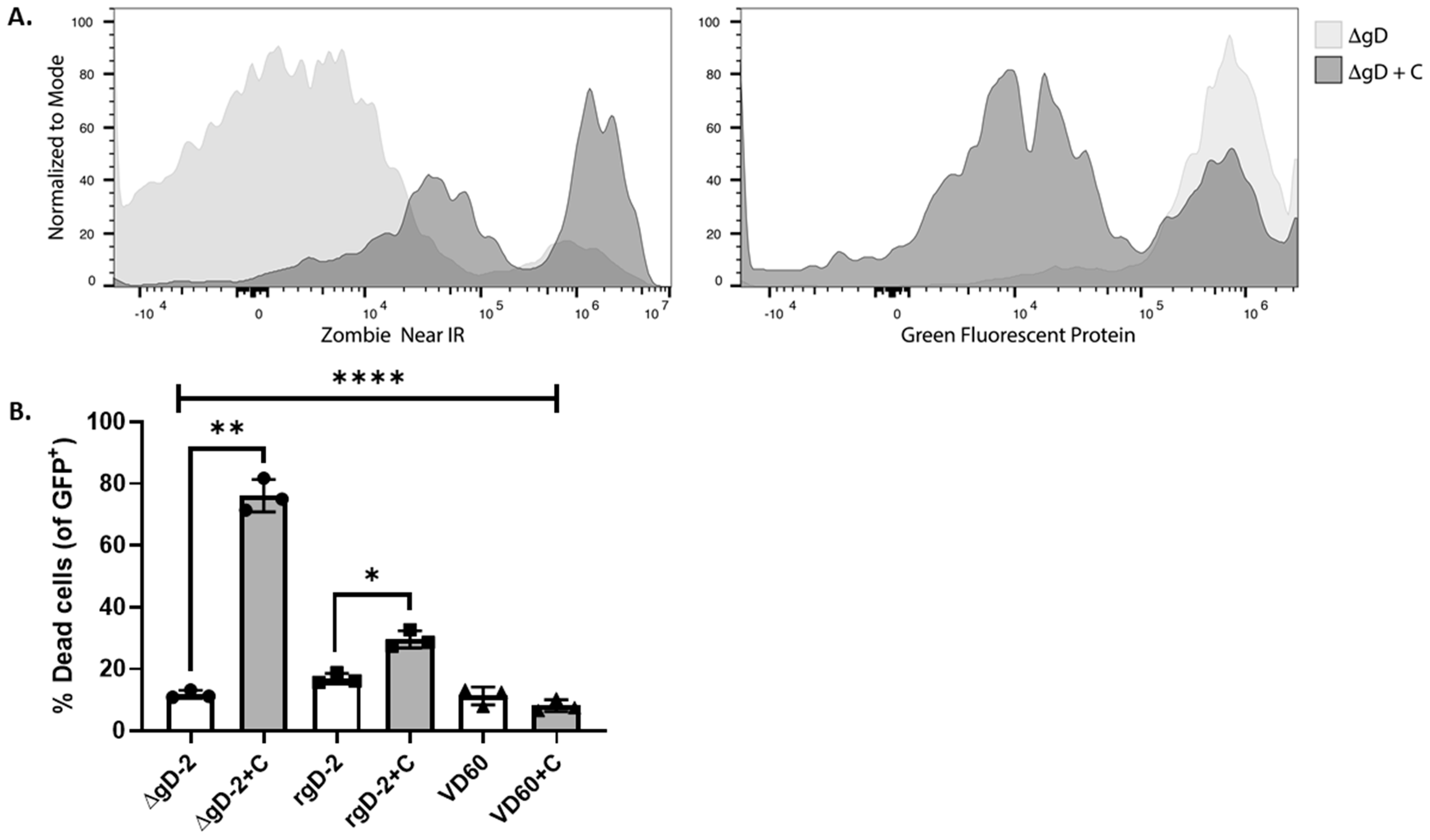Viruses 13 01284 g003