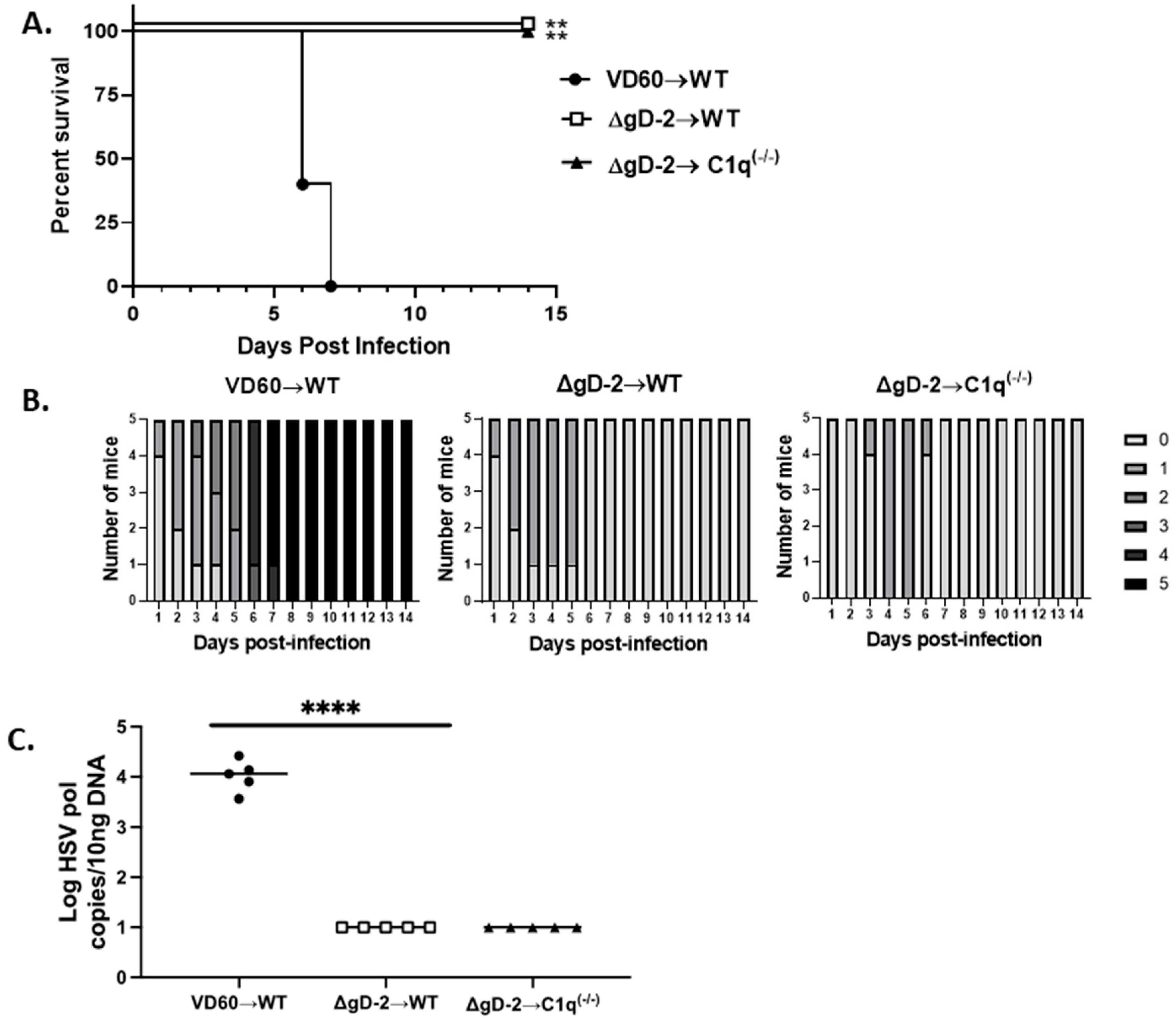 Viruses 13 01284 g005
