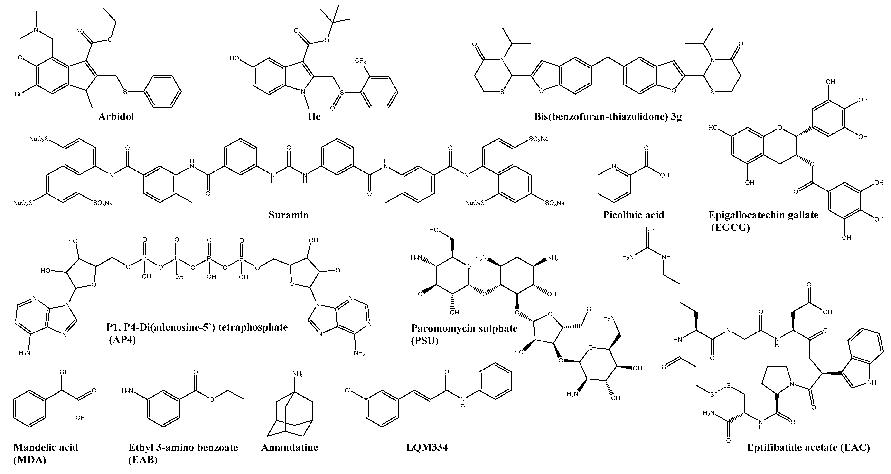 Viruses 13 01307 g001