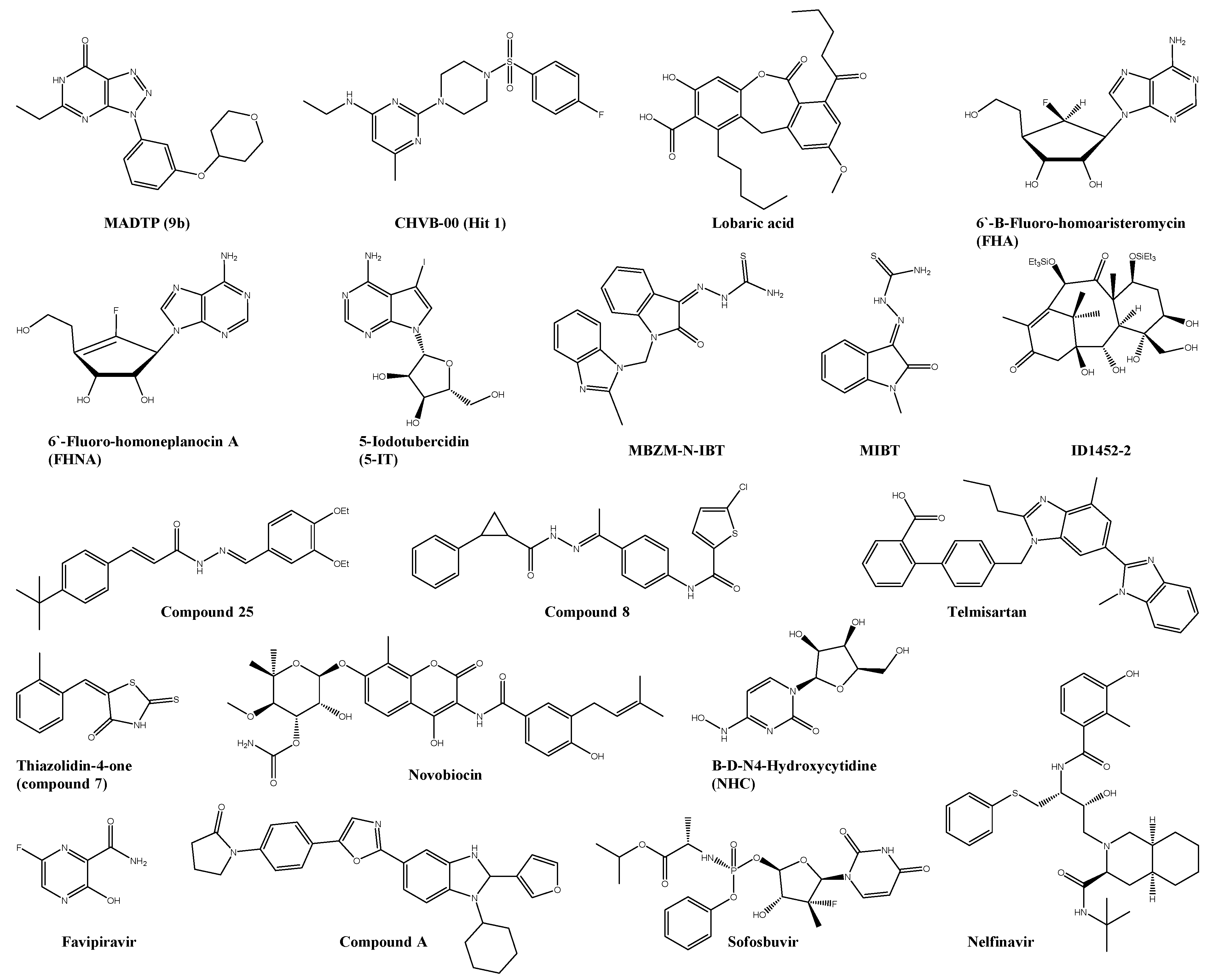 Viruses 13 01307 g002